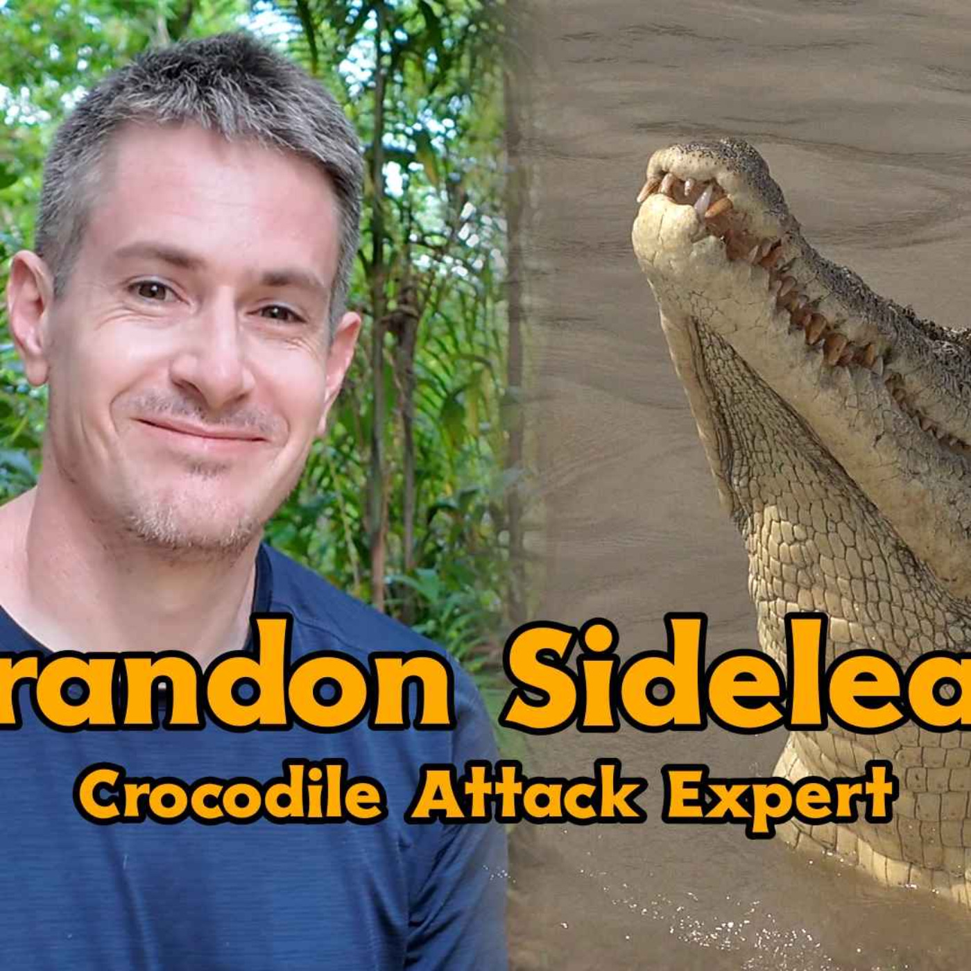 Episode 5 - Human/Crocodile Conflict w/ Brandon Sideleau episode artwork
