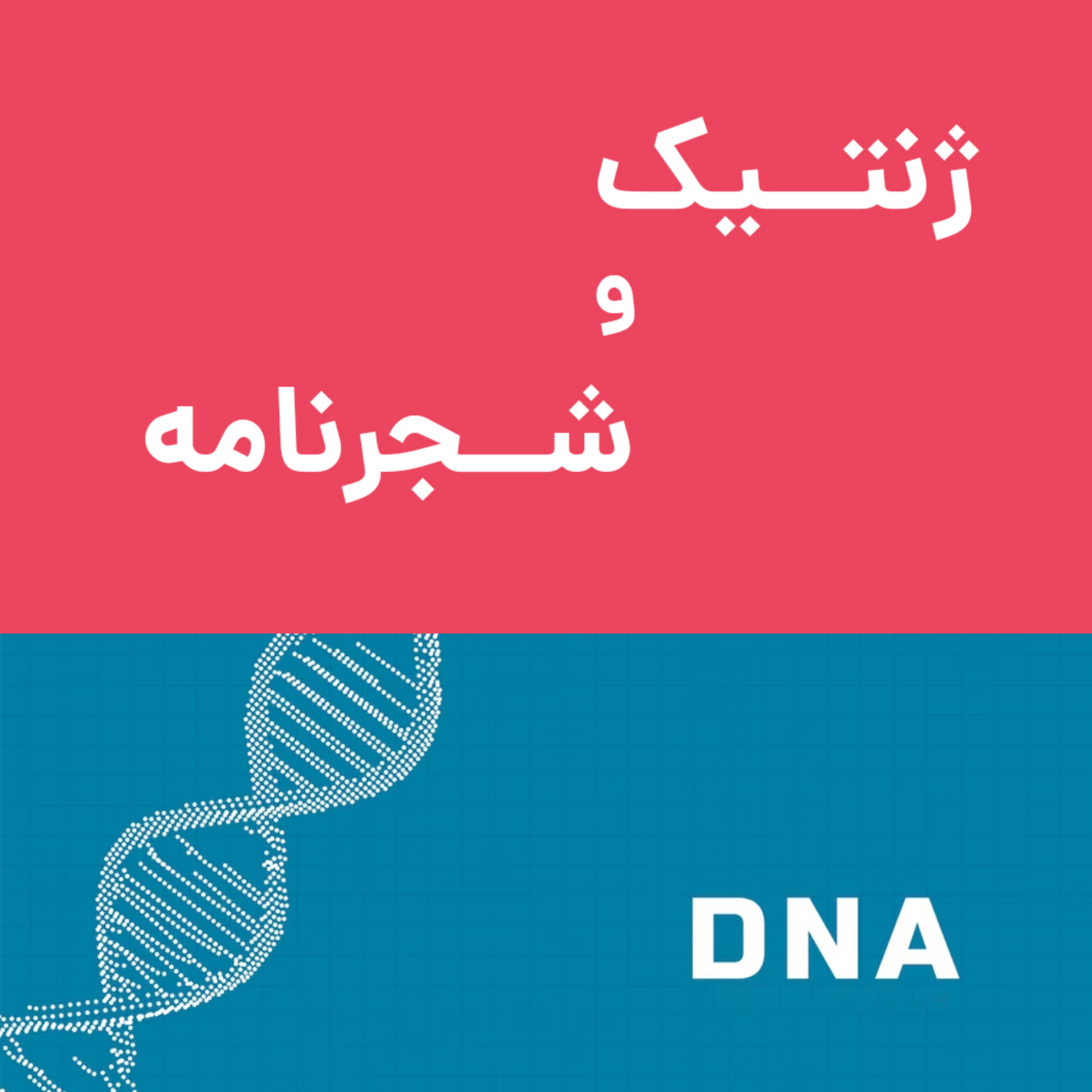 کاور شجرنامه خانوادگی