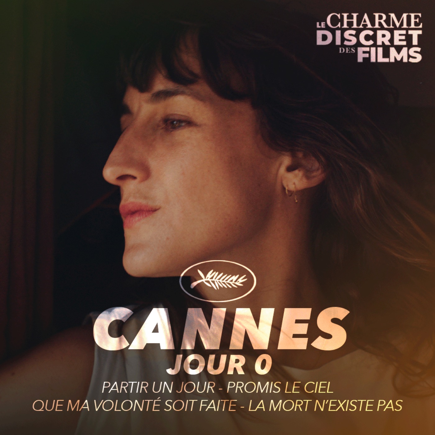 Le Charme Discret des Films