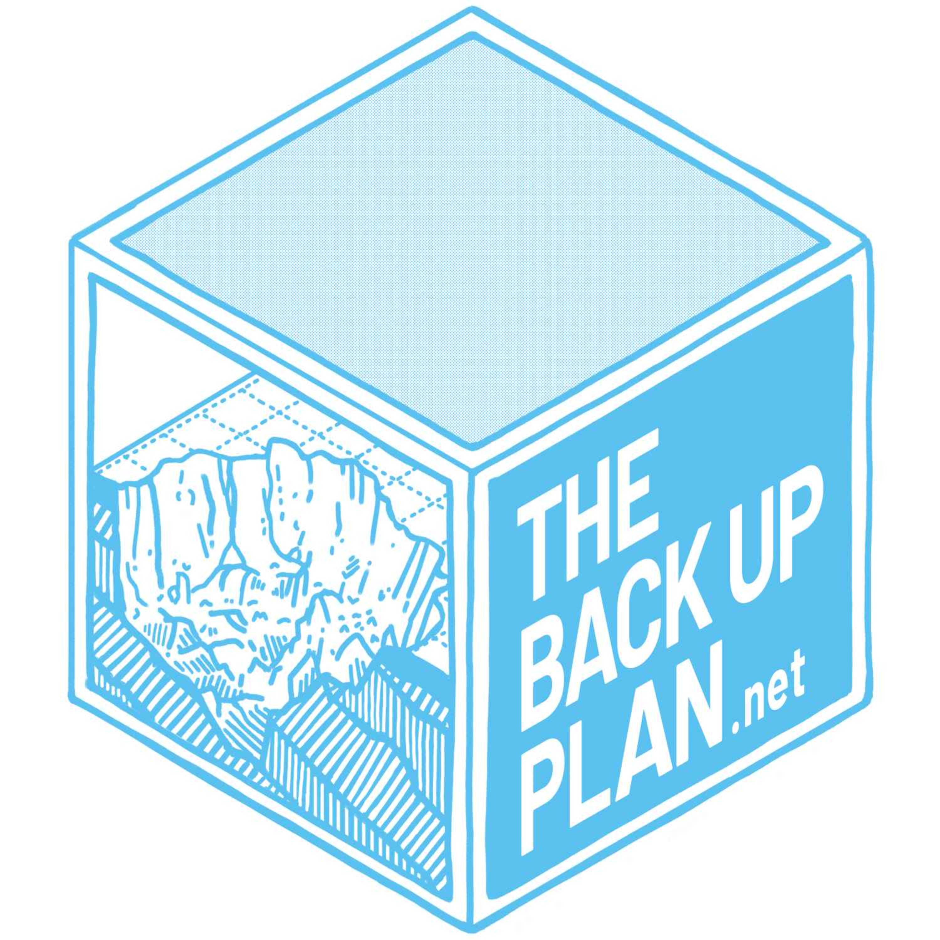 The Backup Plan