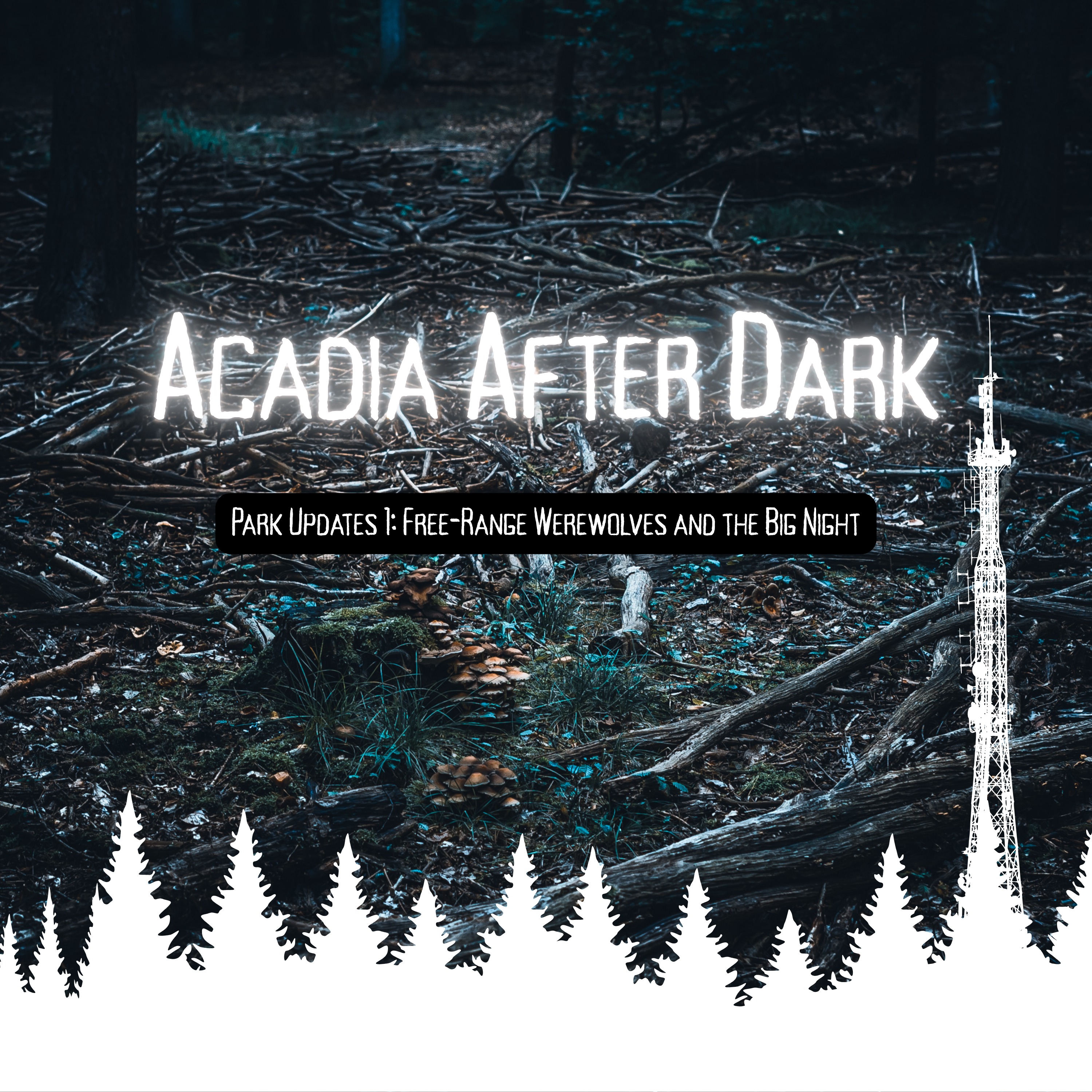 Acadia After Dark Park Updates 1