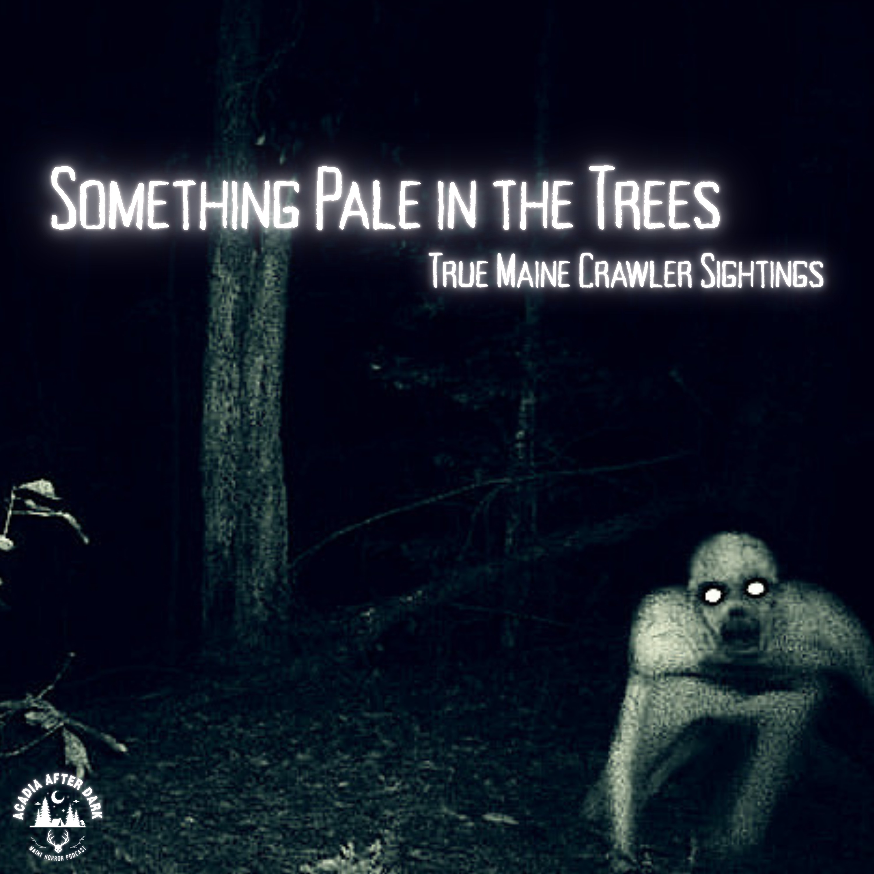 Something Pale in the Trees: True Maine Crawler Sightings episode artwork