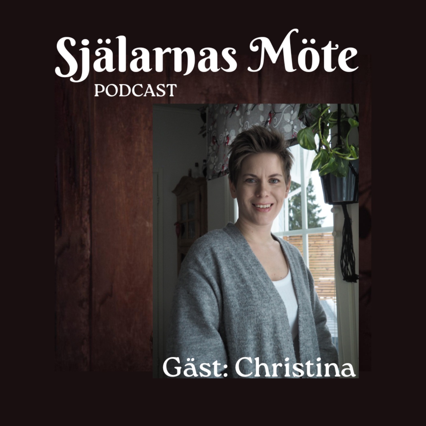 Själarnas Möte Podcast