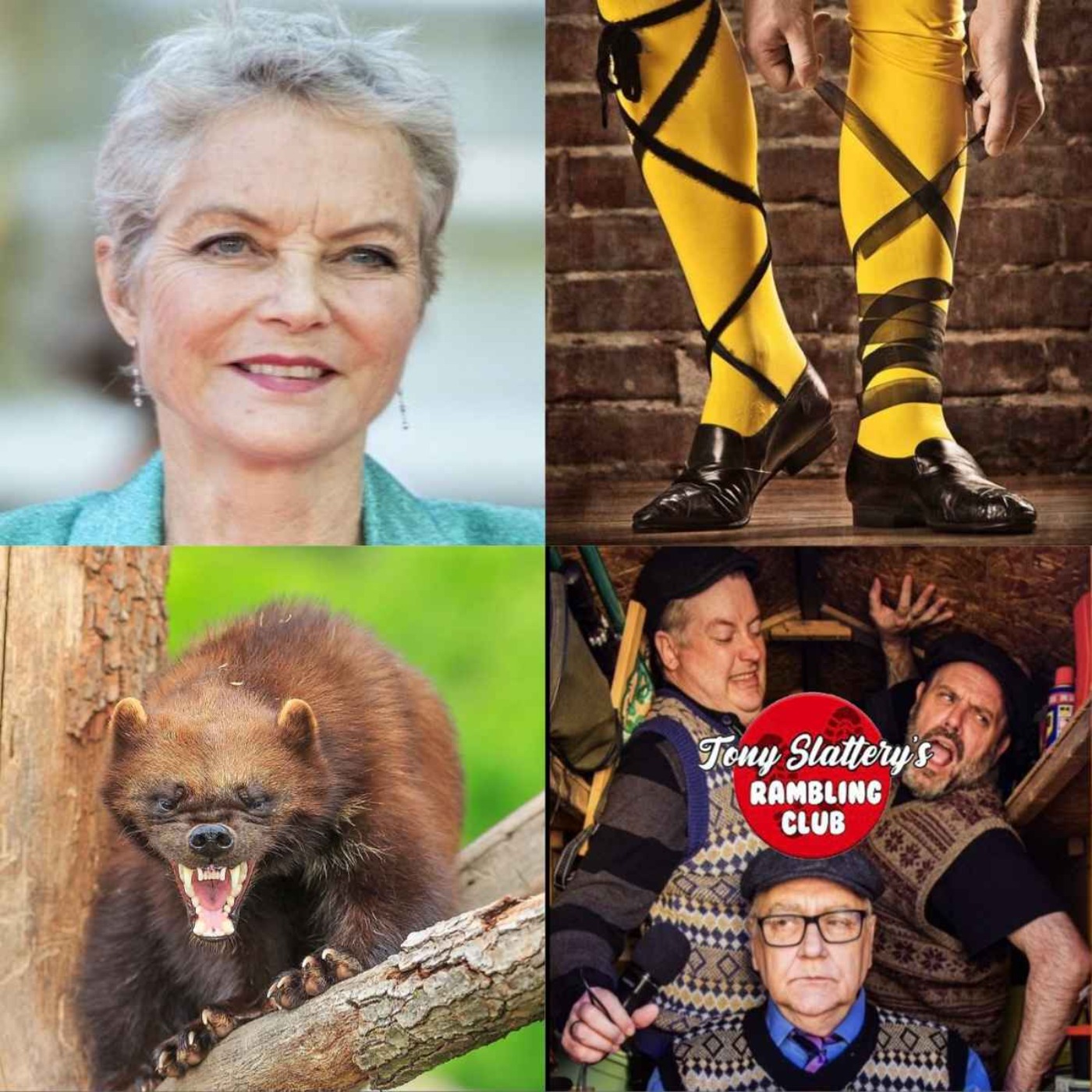 Jenny Seagrove- "I Have Worked With Wolves!" episode artwork