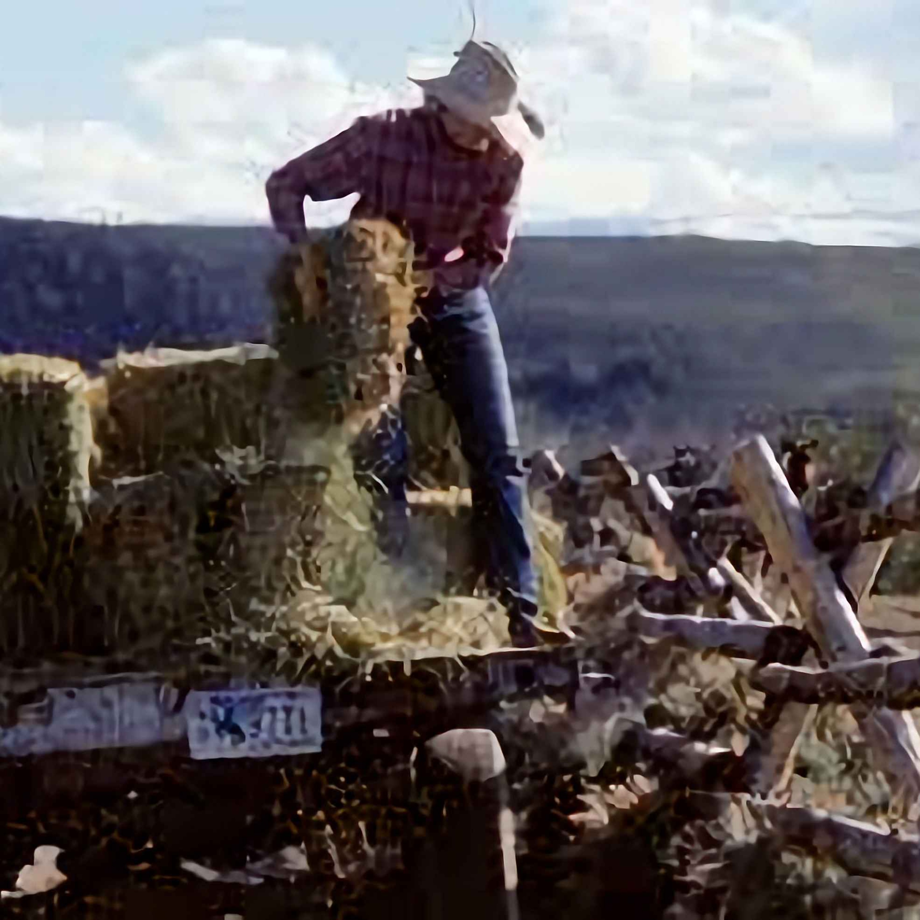 Songs Of The Kingwood Kowboy