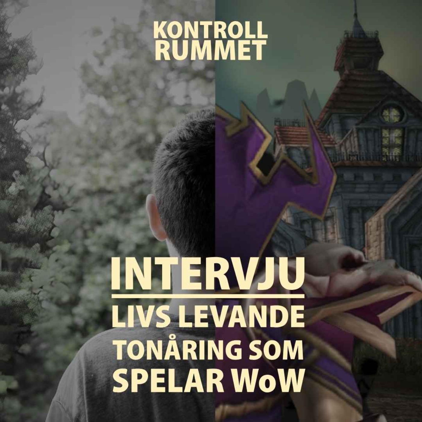 Kontrollrummet