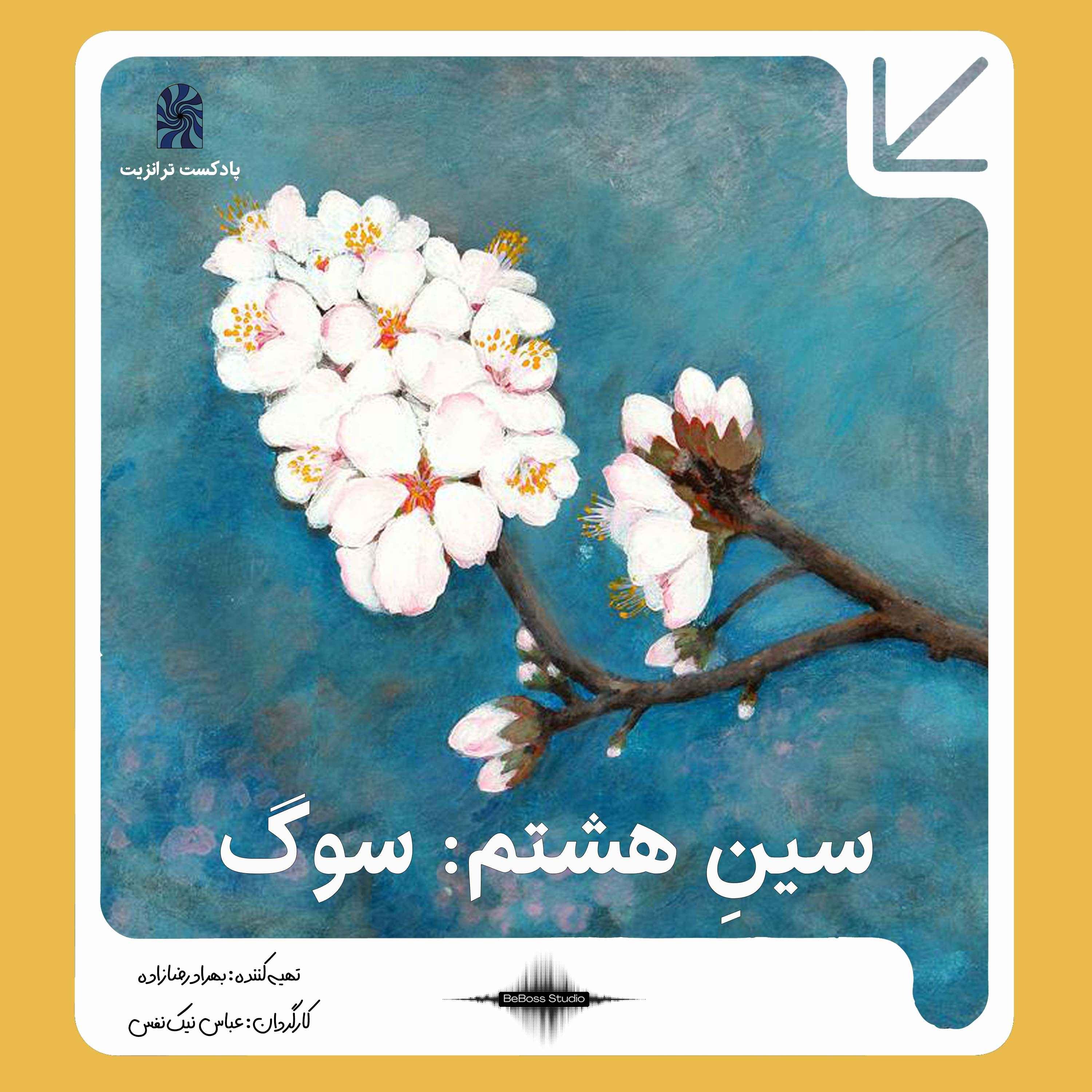 سین هشتم : سوگ