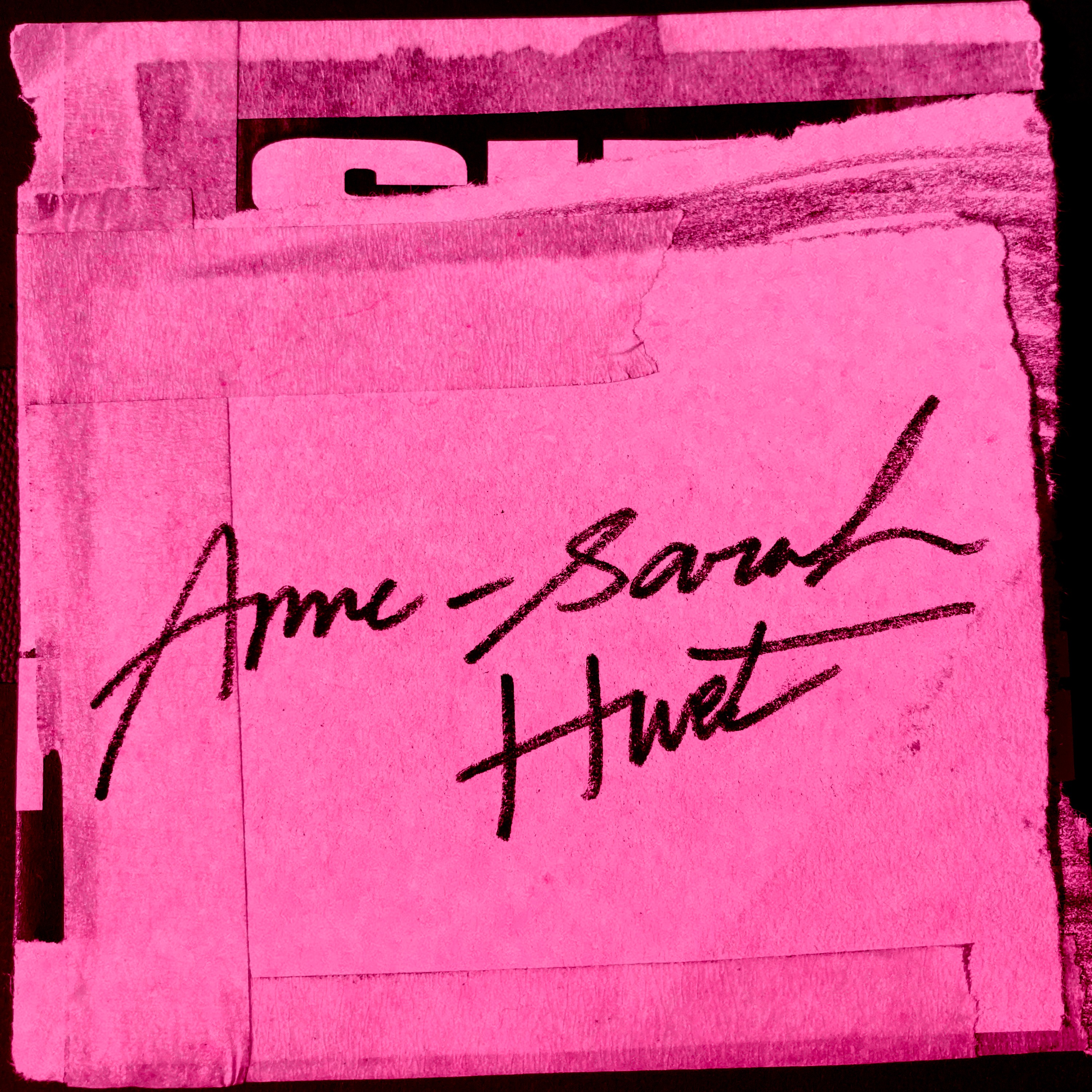 Anne-Sarah Huet : « La publication d’un texte est le résultat d'un jeu social » episode artwork