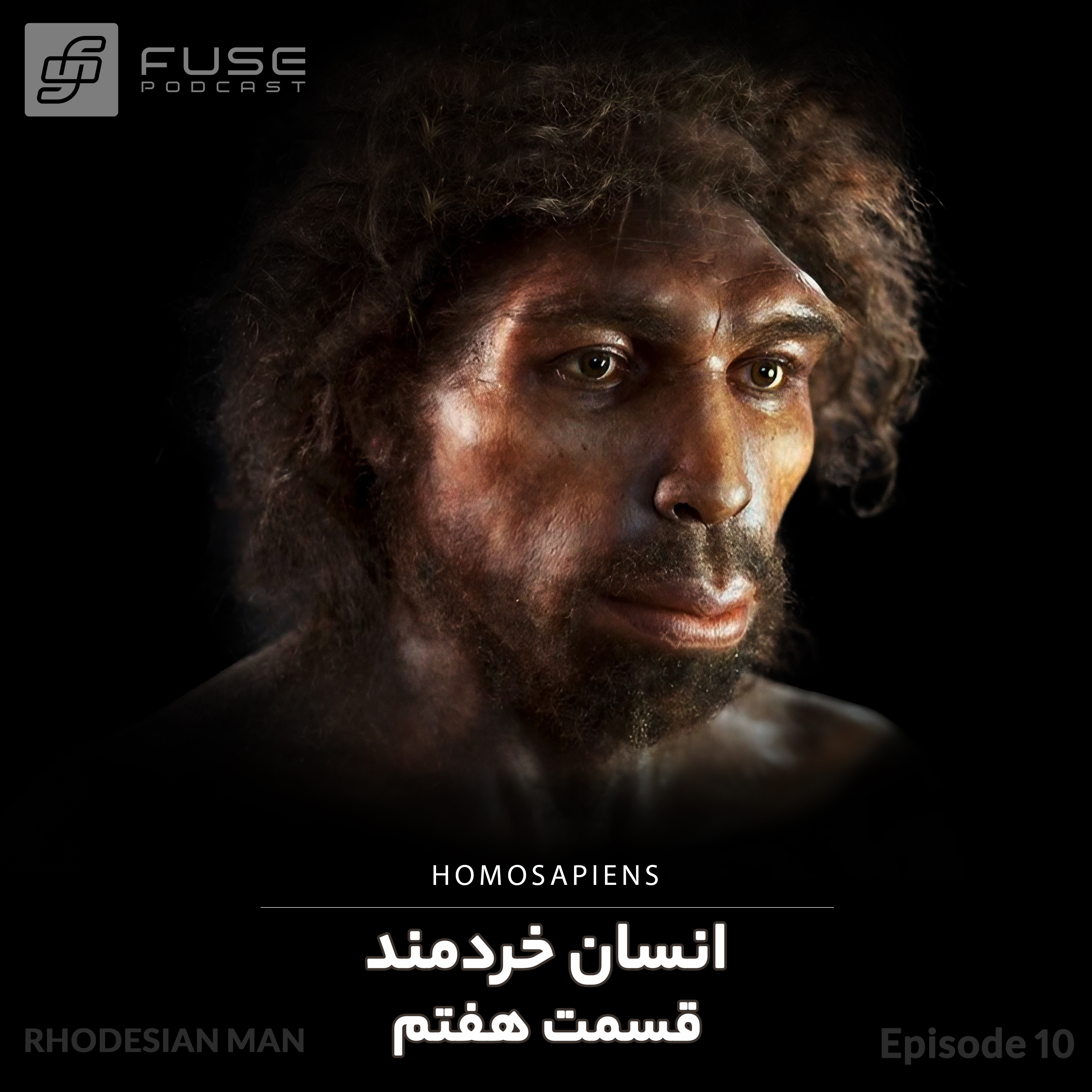Fuse Podcast | پادکست فیوز