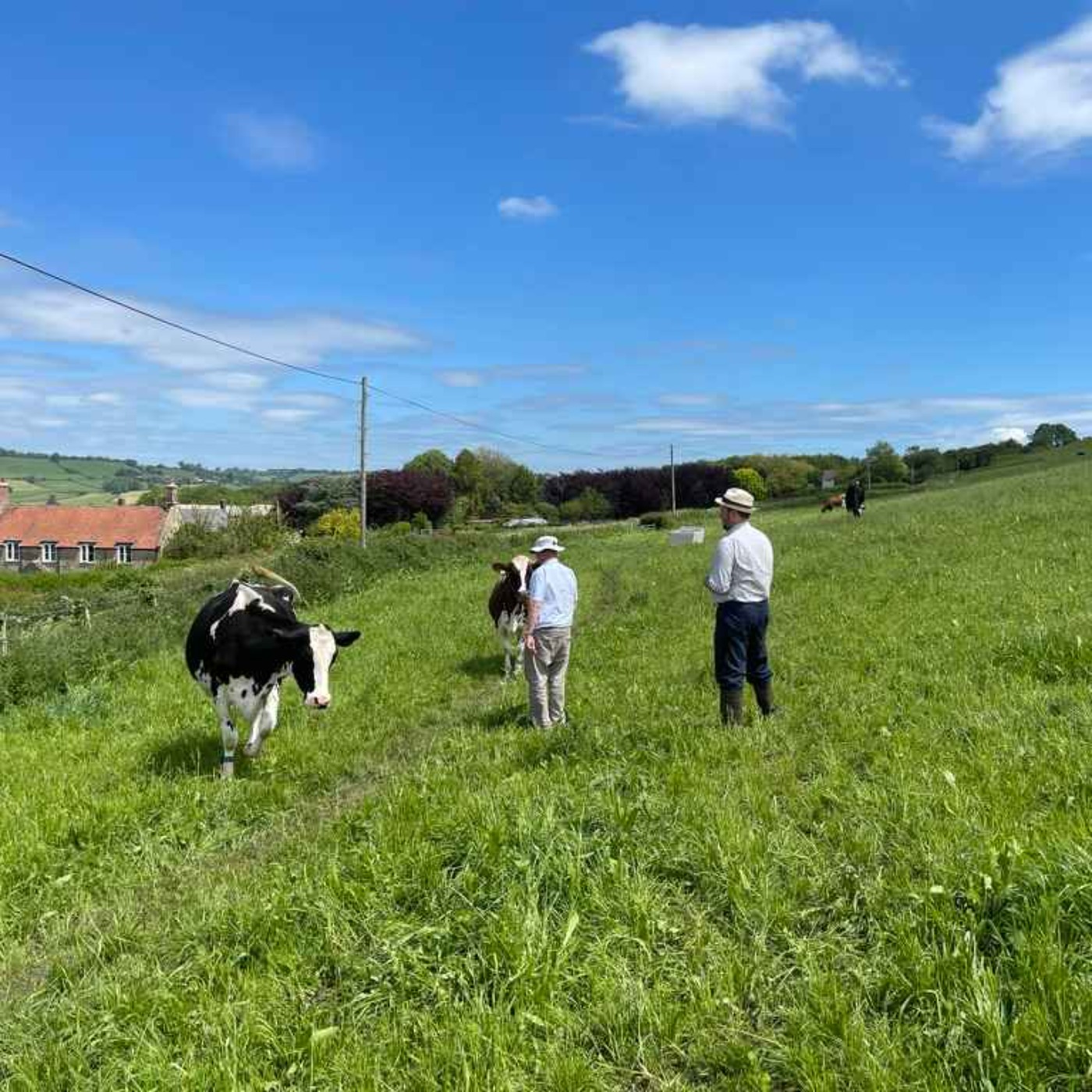 The Westcombe Project