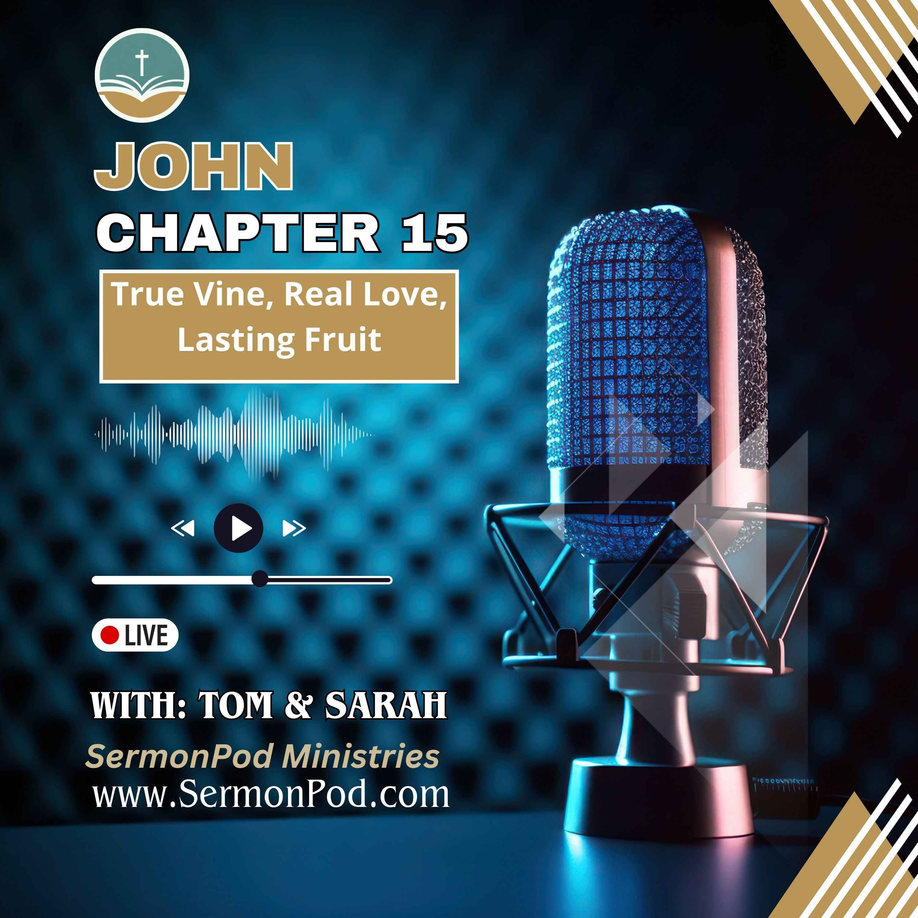 John Chapter 15 episode artwork
