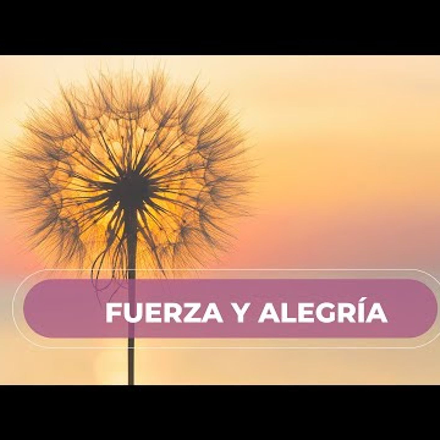 004. Meditación de la Mañana ❤️  FUERZA, ENERGÍA y GOZO DE VIVIR ❤️❤️❤️ episode artwork