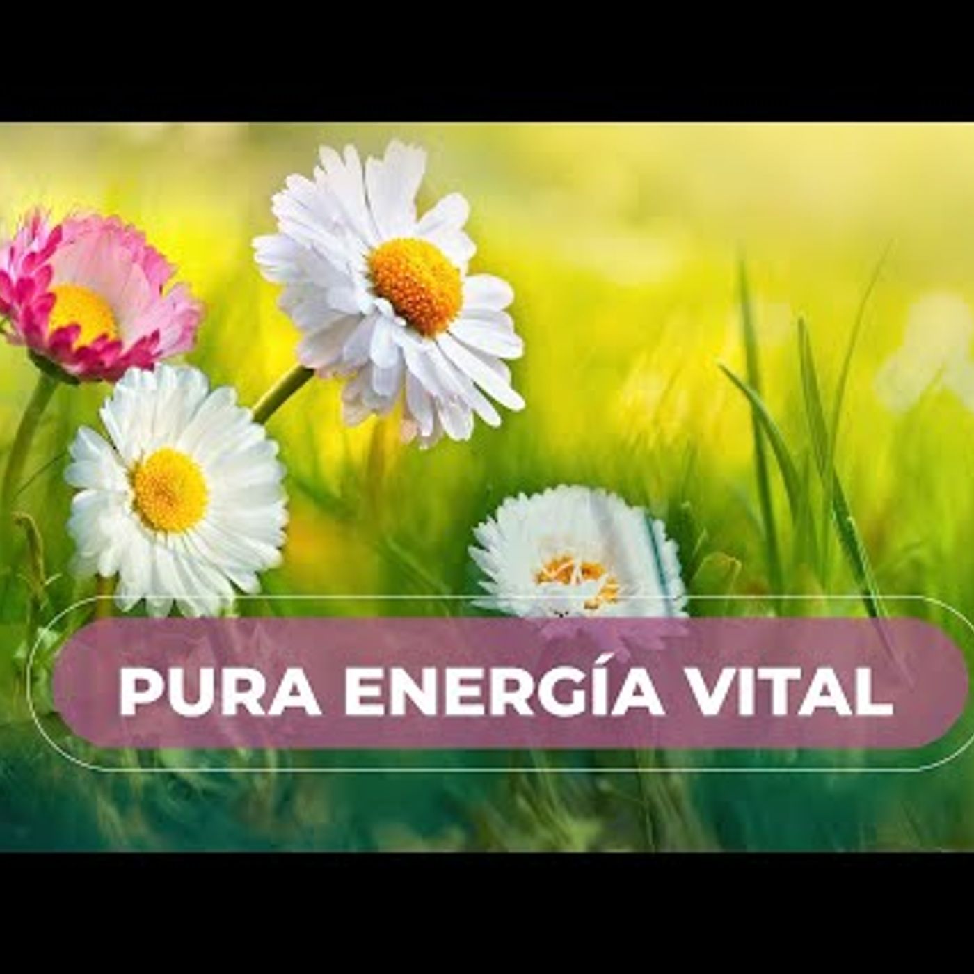 001. Meditación de la Mañana... PURA ENERGÍA!!! episode artwork