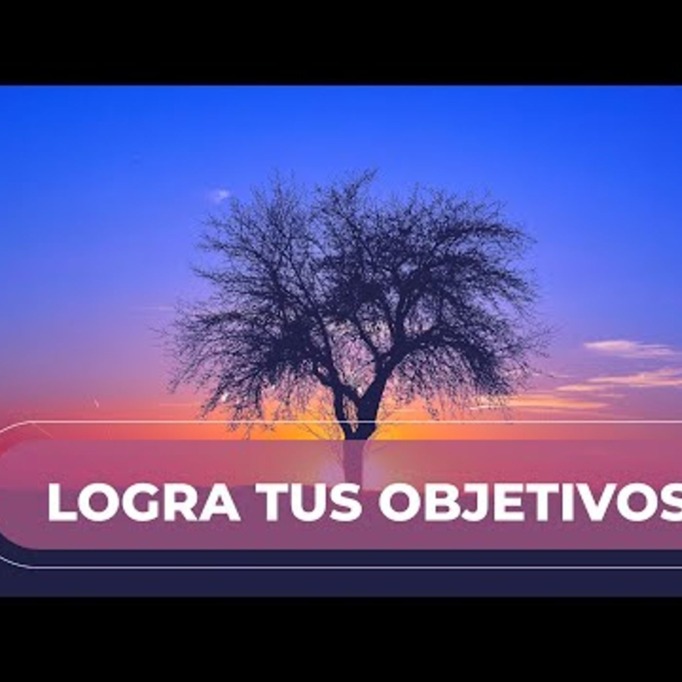 009. Meditación de la Mañana 🌺 Ritual para Logar Objetivos episode artwork