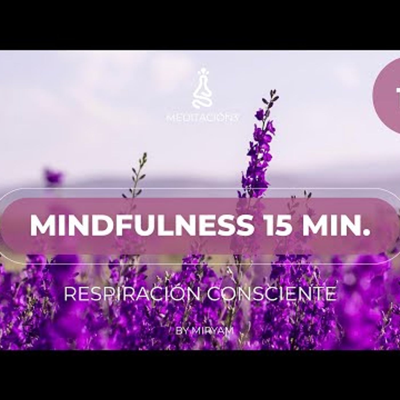Meditación Guiada