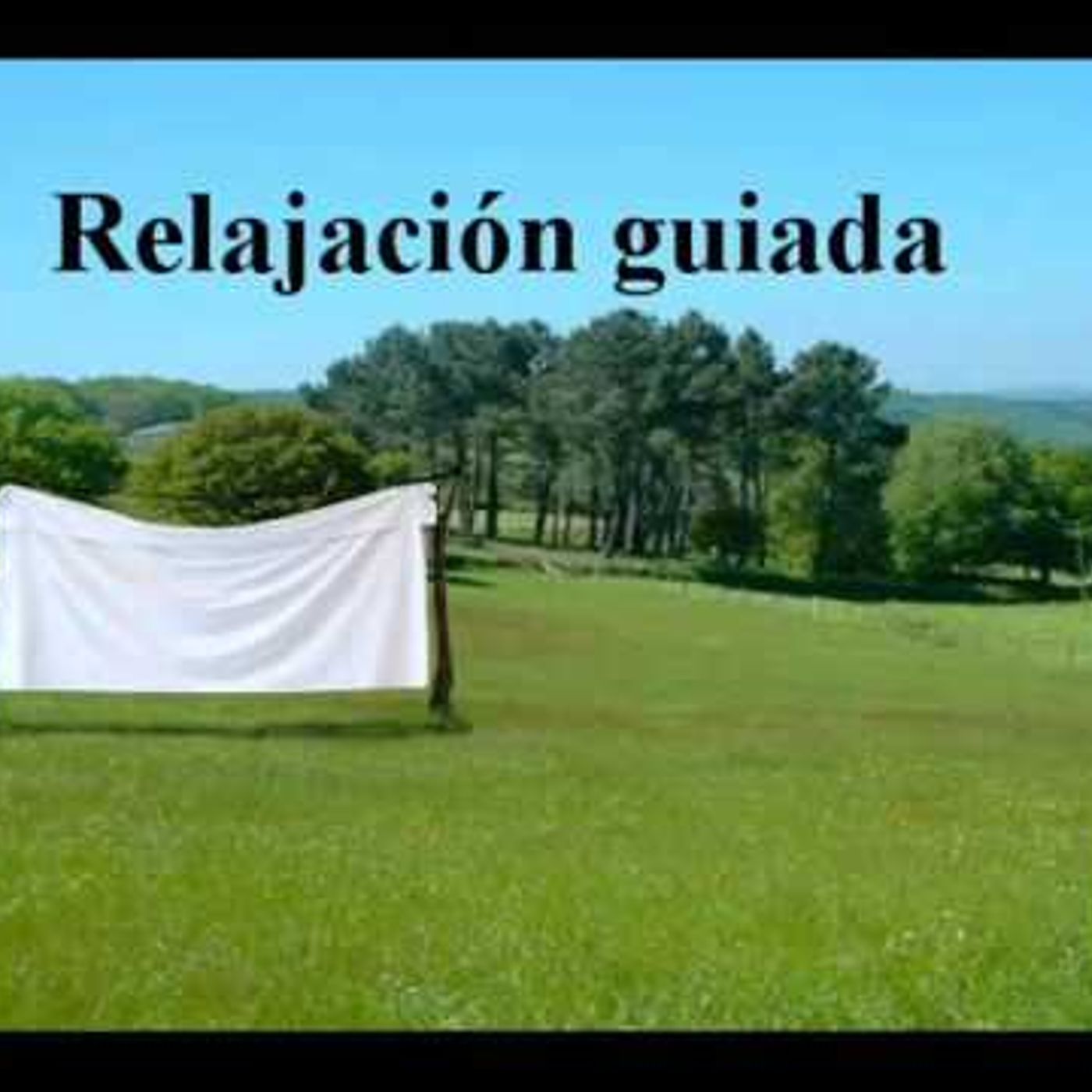 RELAJACION GUIADA PARA CALMAR ATAQUES DE ANSIEDAD REPENTINOS (1) episode artwork