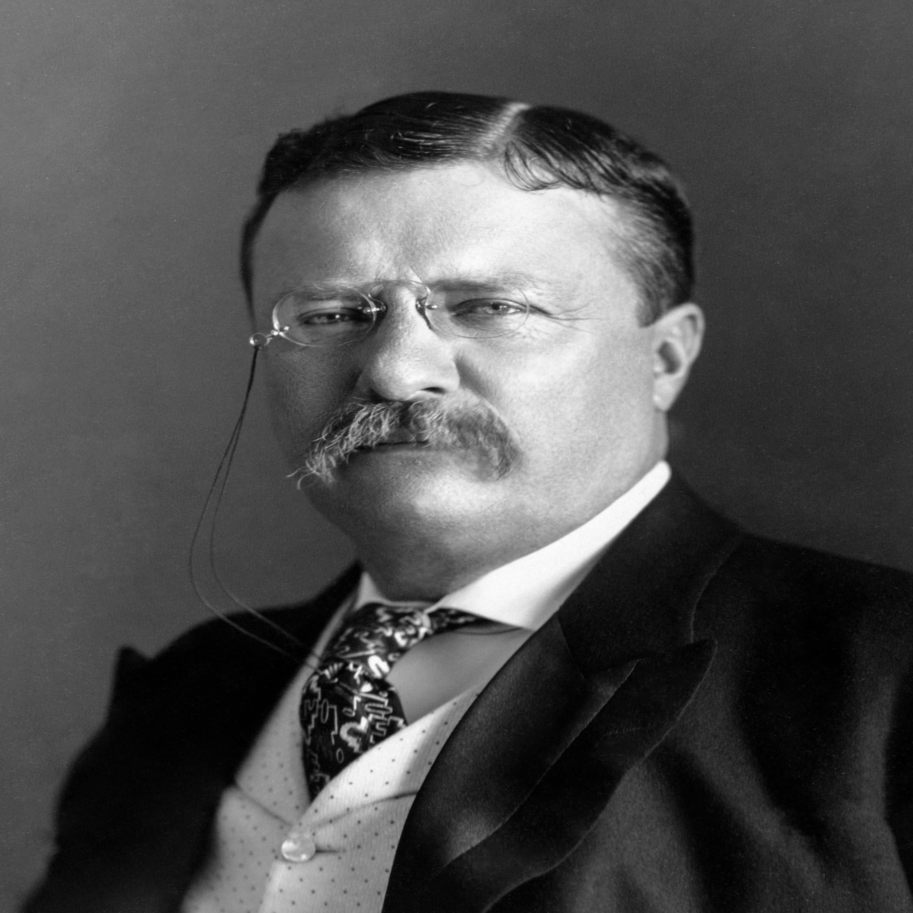 The Man In The Arena (10 minutes) - Teddy Roosevelt