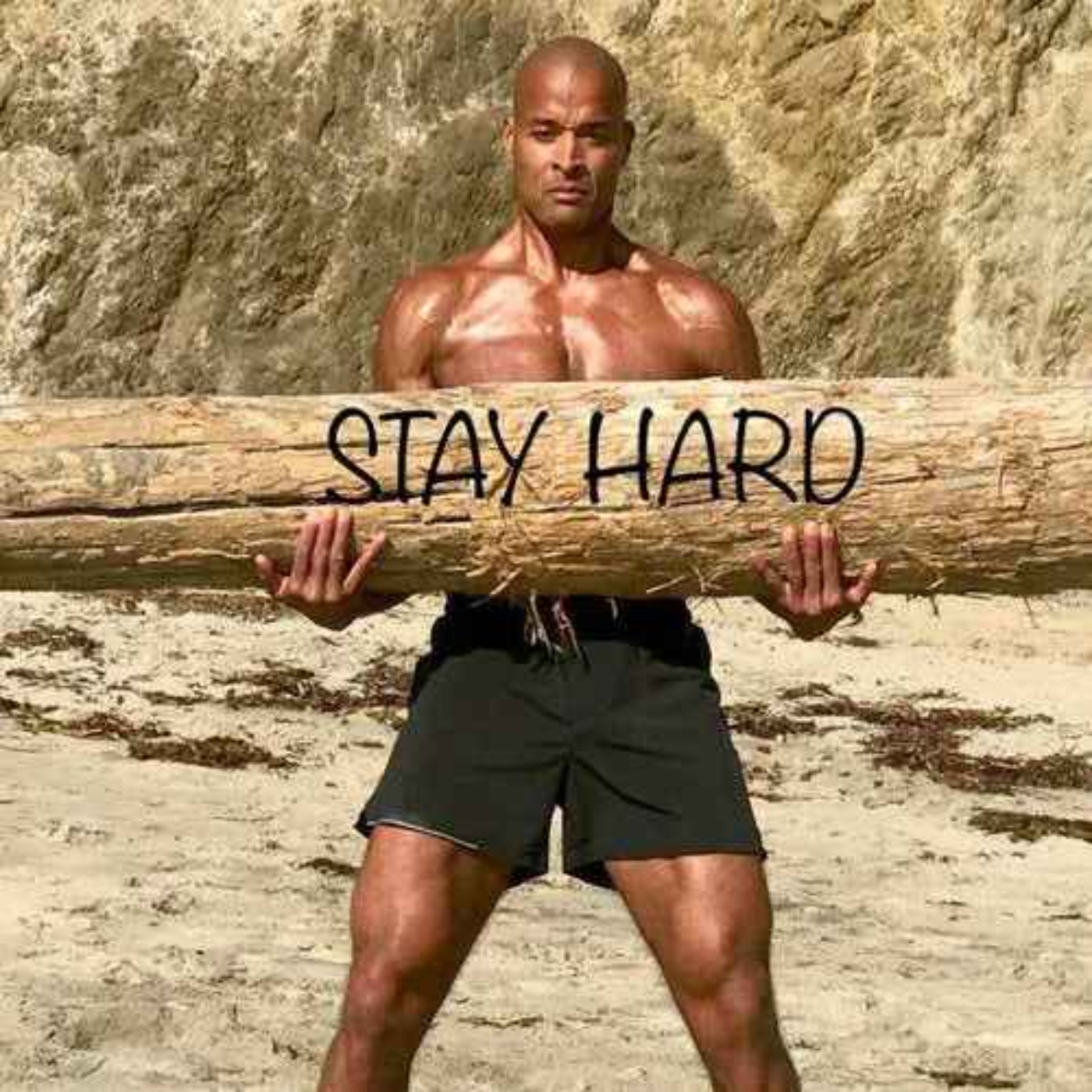 Commit, Adapt, Succeed - David Goggins