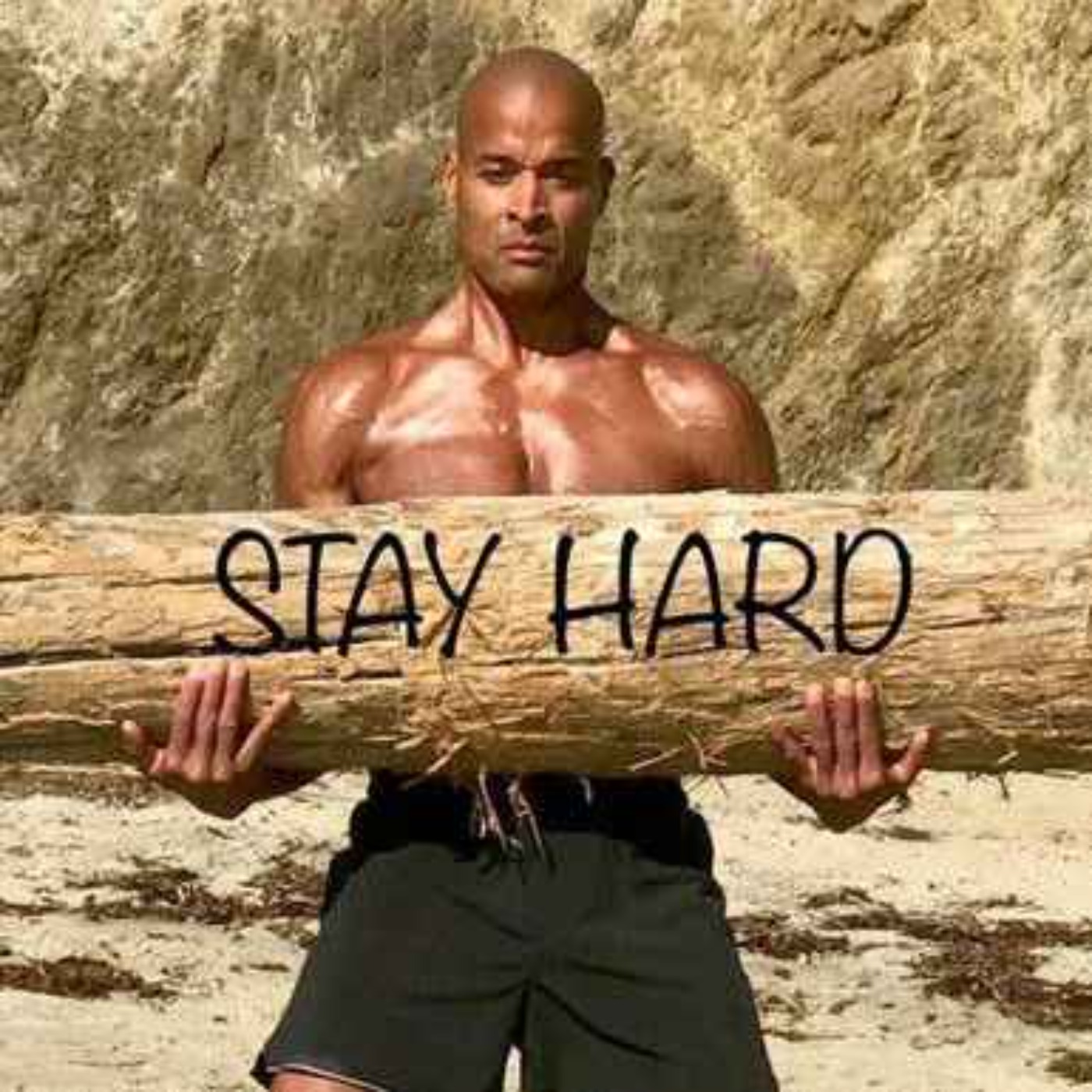 Science Just Proved Why Doing Hard Things Changes You - David Goggins episode artwork
