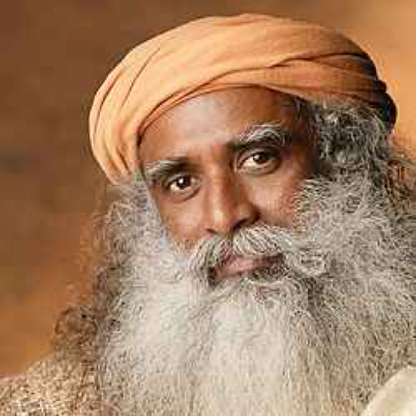 Why Looking for Your Purpose Is the Problem - Sadhguru episode artwork