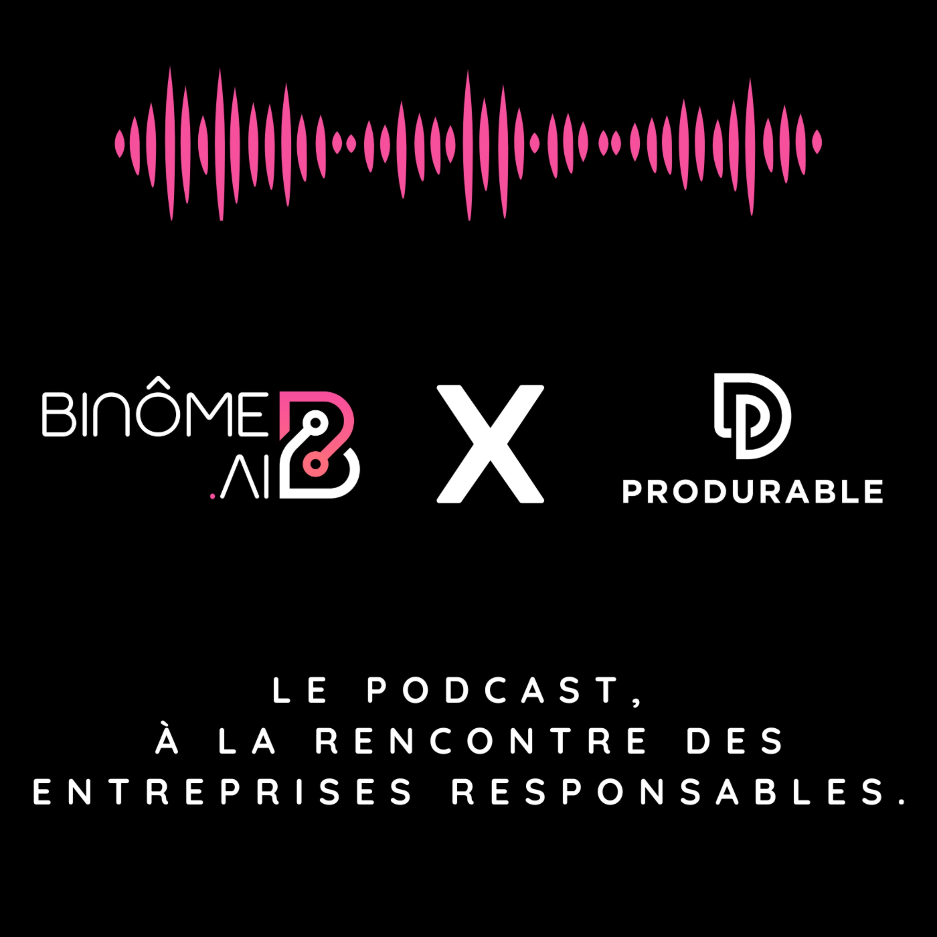 « Emploi des séniors : du déclaratif aux actes » episode artwork