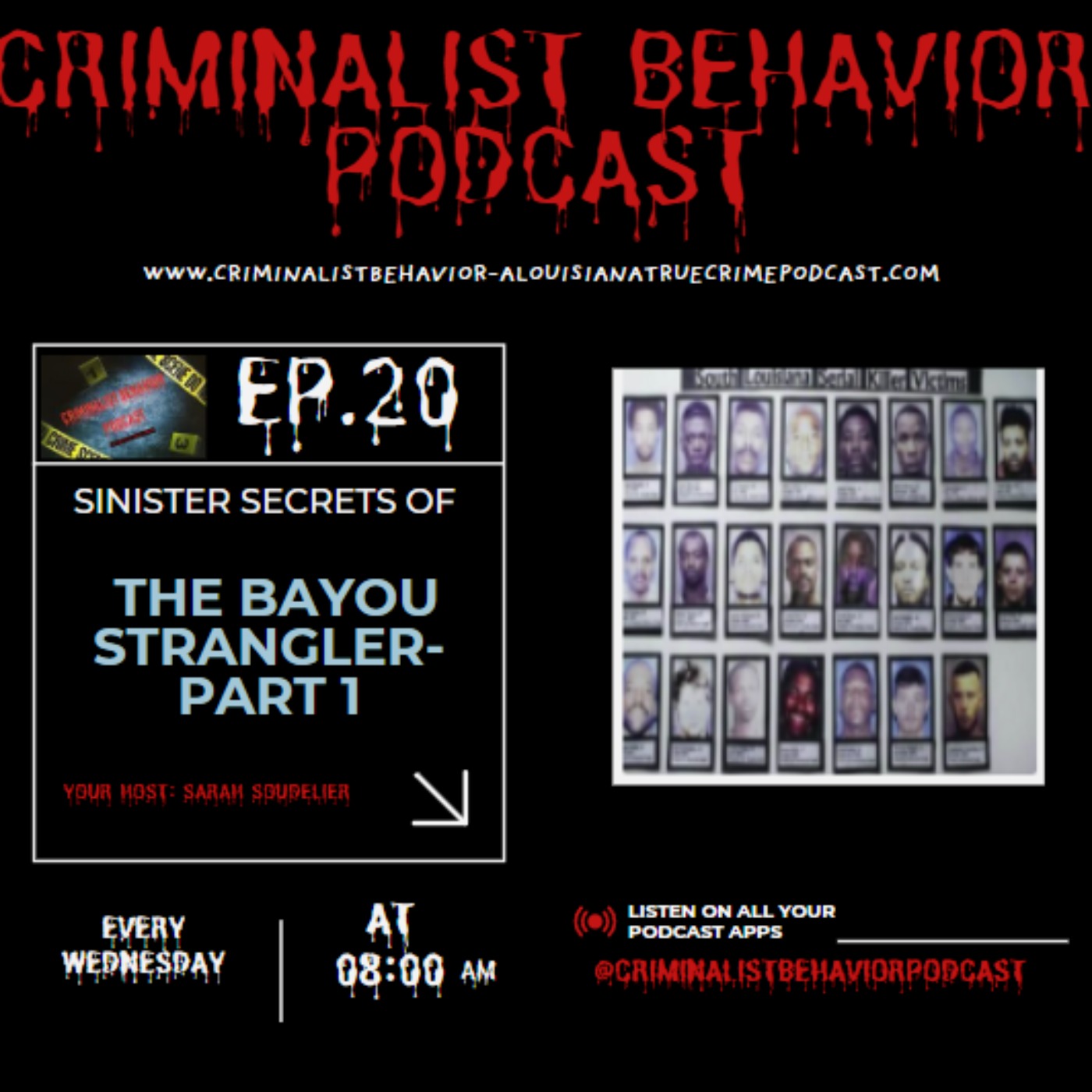 Criminalist Behavior-A Louisiana True Crime Podcast