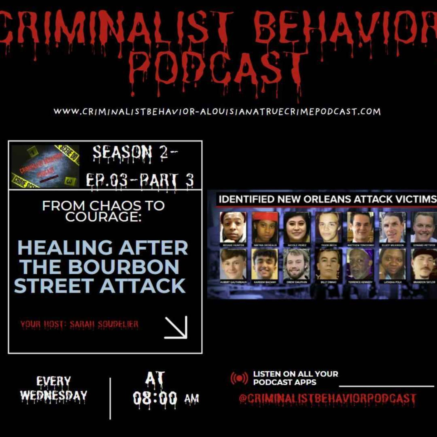 From Chaos to Courage: Healing After the Bourbon Street Attack-S2E3-Part 3 episode artwork