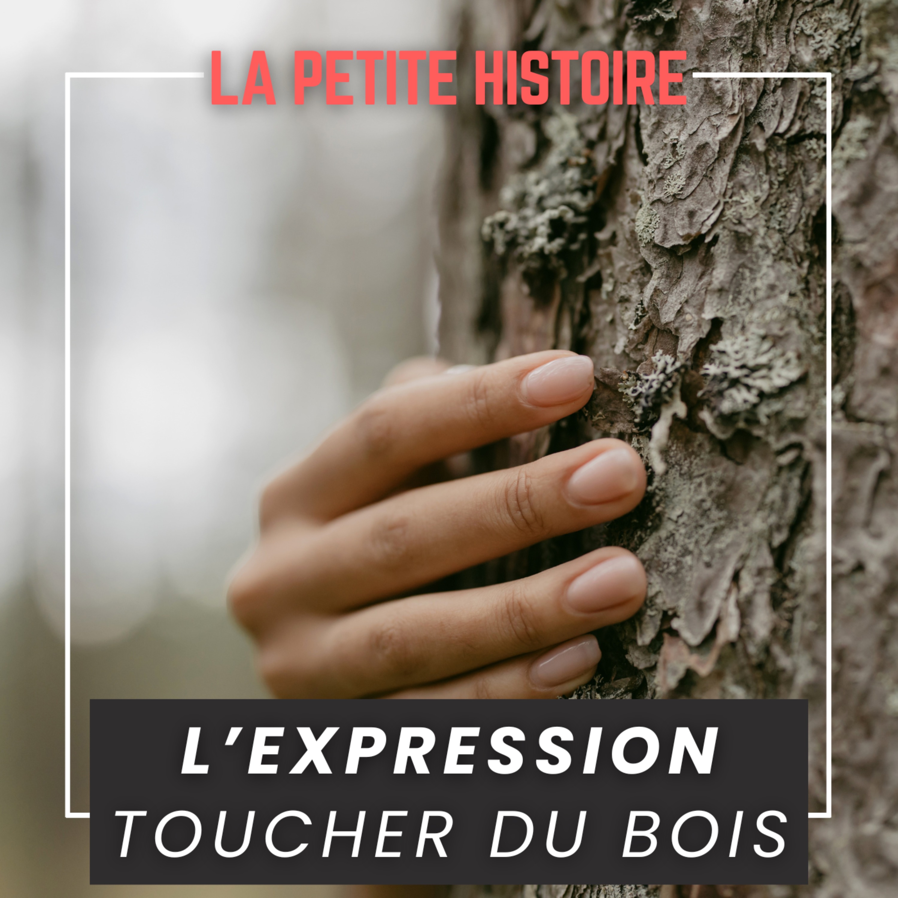 LA PETITE HISTOIRE DES EXPRESSIONS - Curiosités de la langue française
