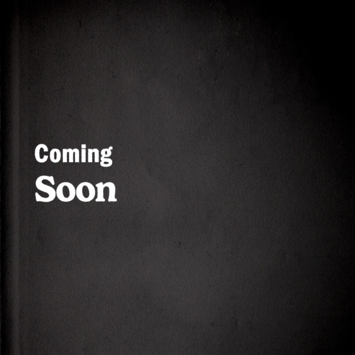 Not Just One Thing - The Portfolio Career Playbook
