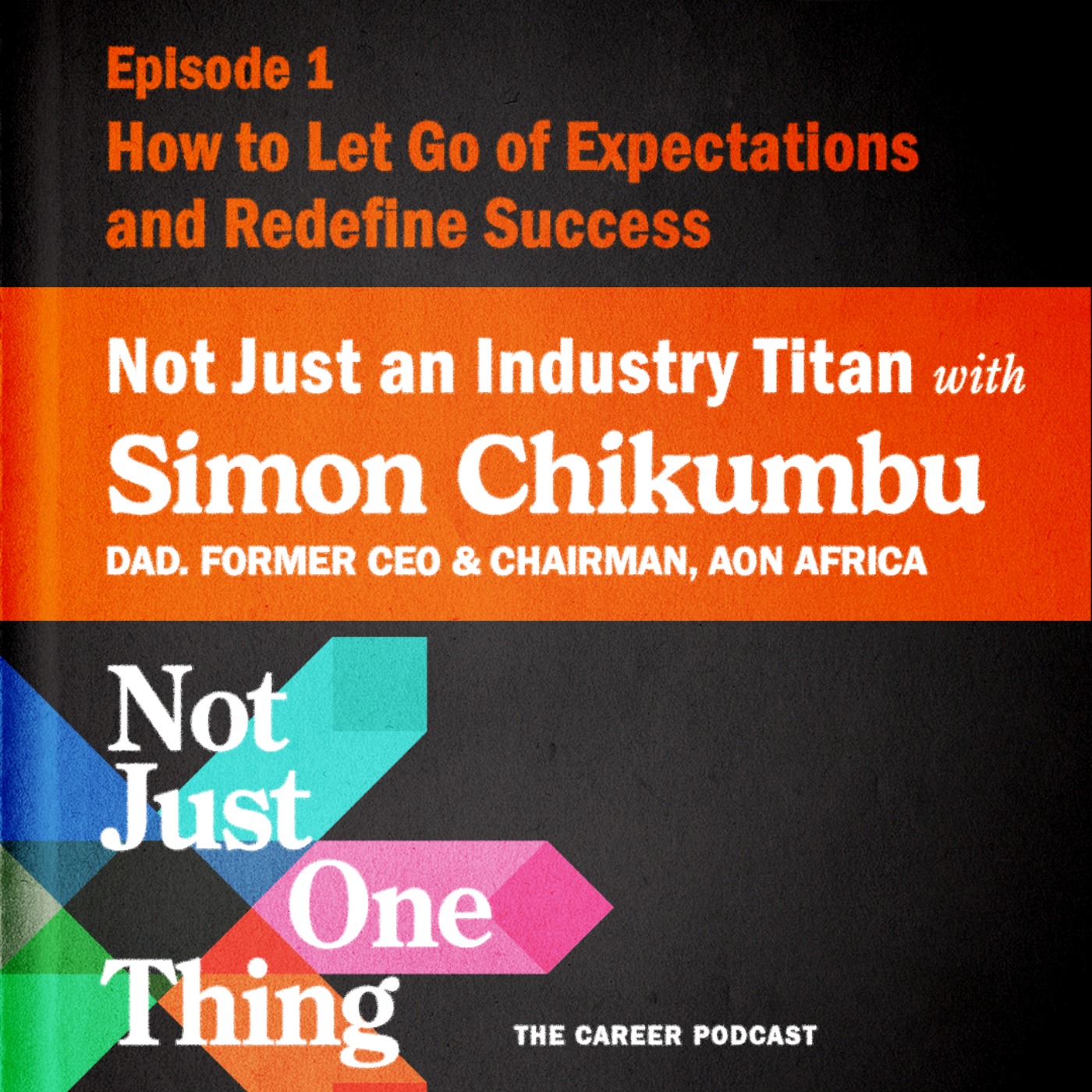Not Just One Thing - The Portfolio Career Playbook