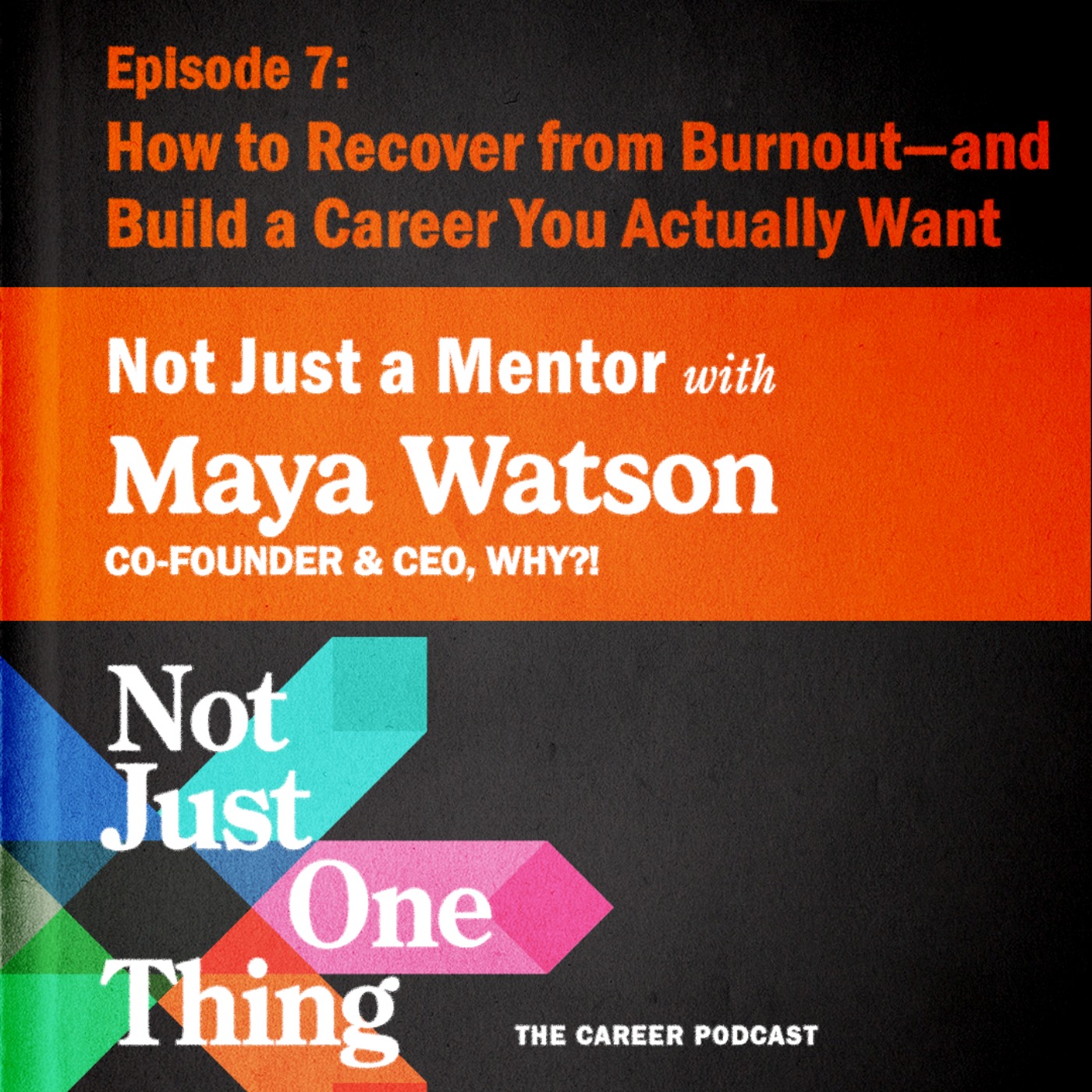 Not Just One Thing - The Portfolio Career Playbook