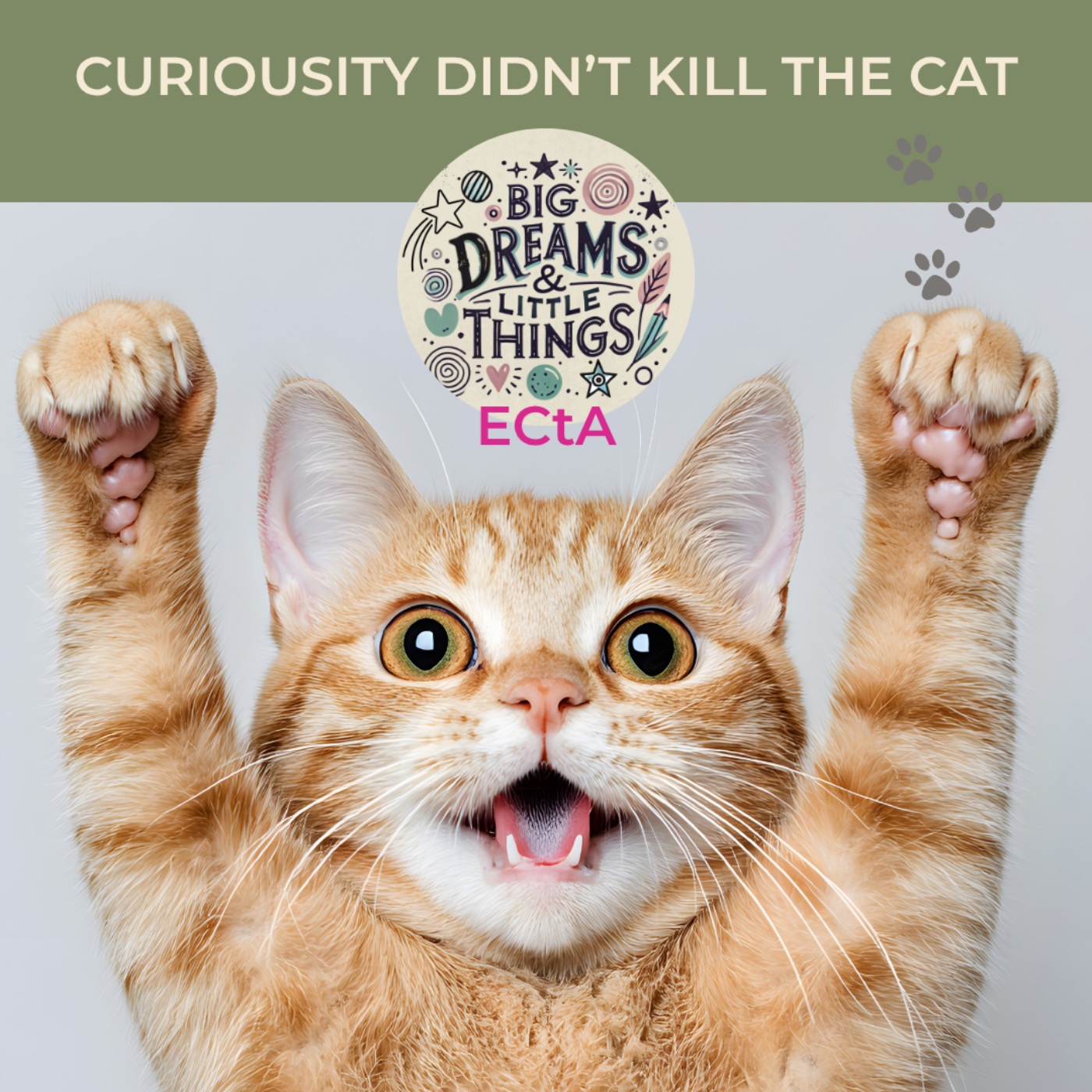 Curiosity Didn't Kill the Cat