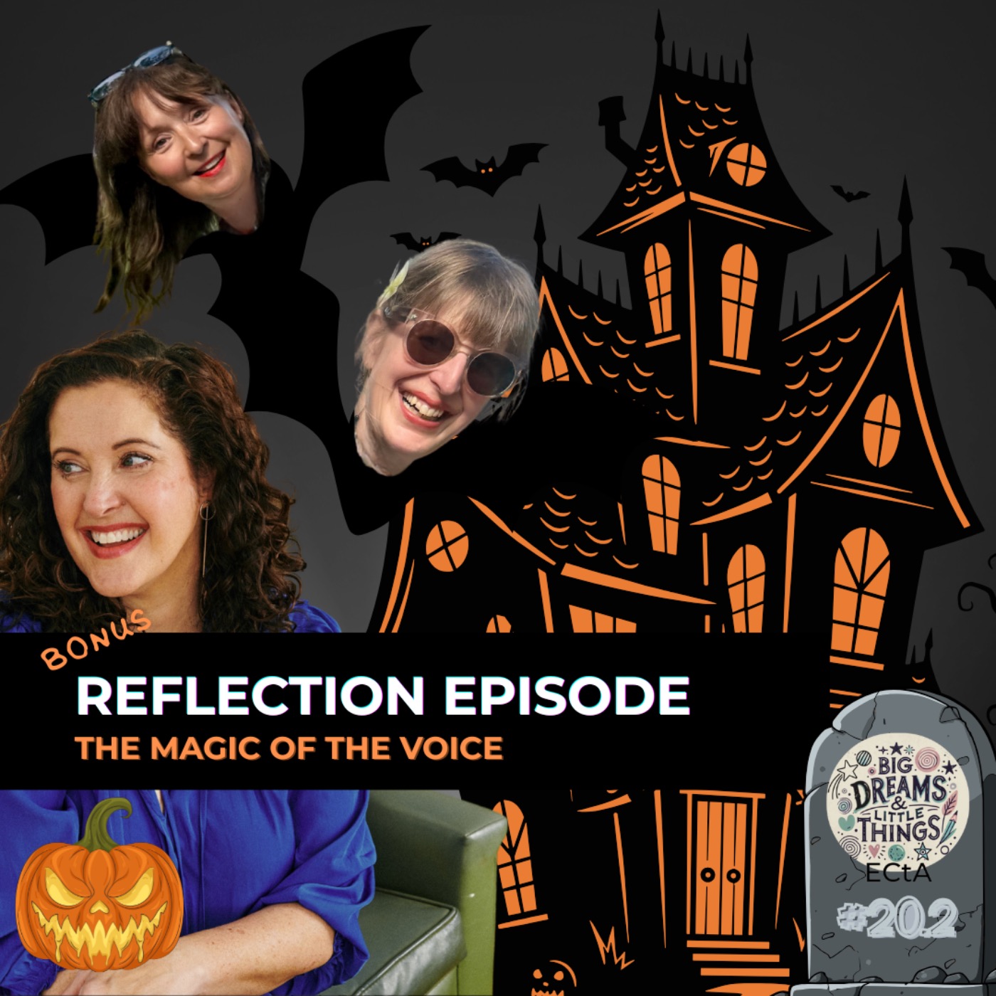 Reflection Session for Episode 20- The Magic of the Voice