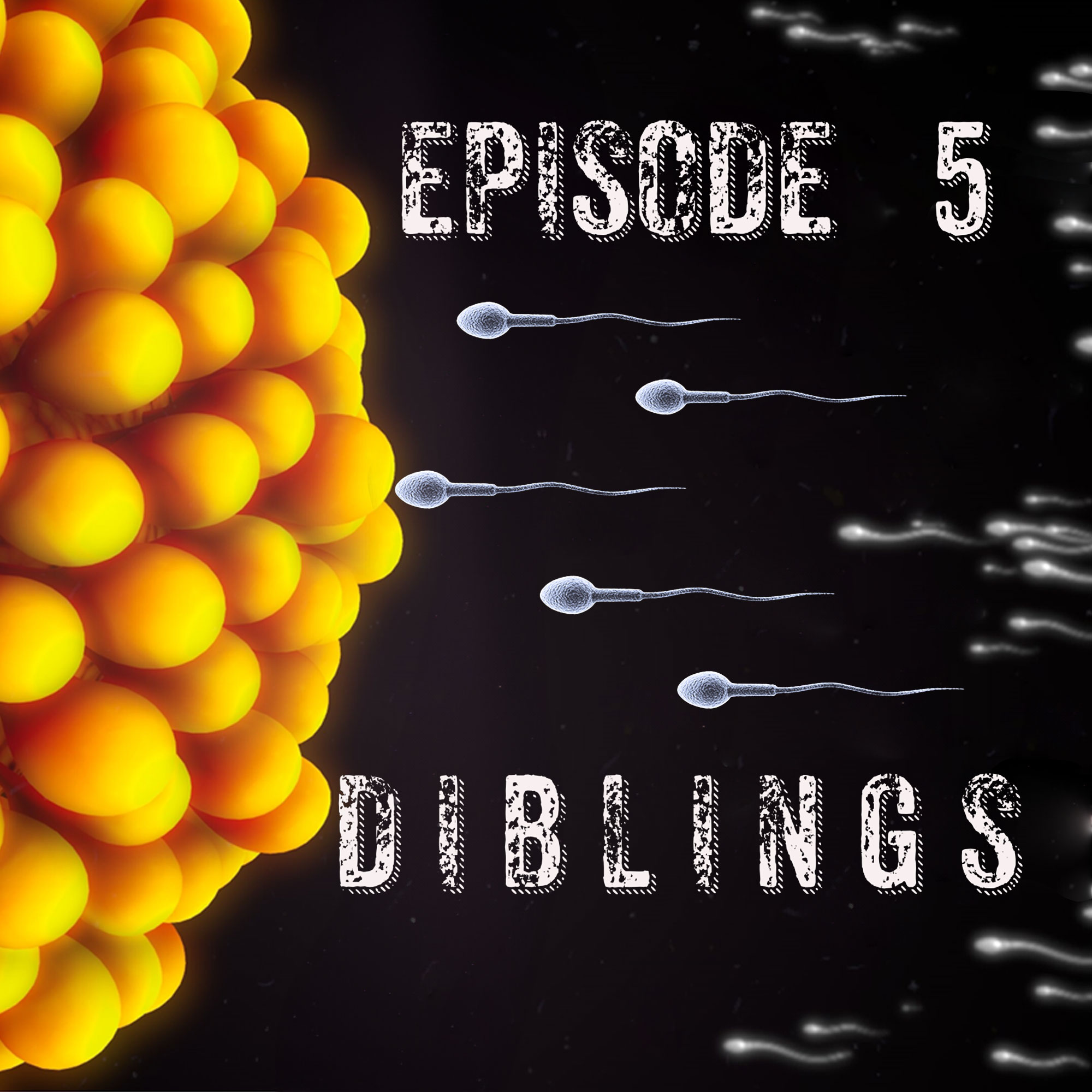 Episode 5 - Diblings episode artwork