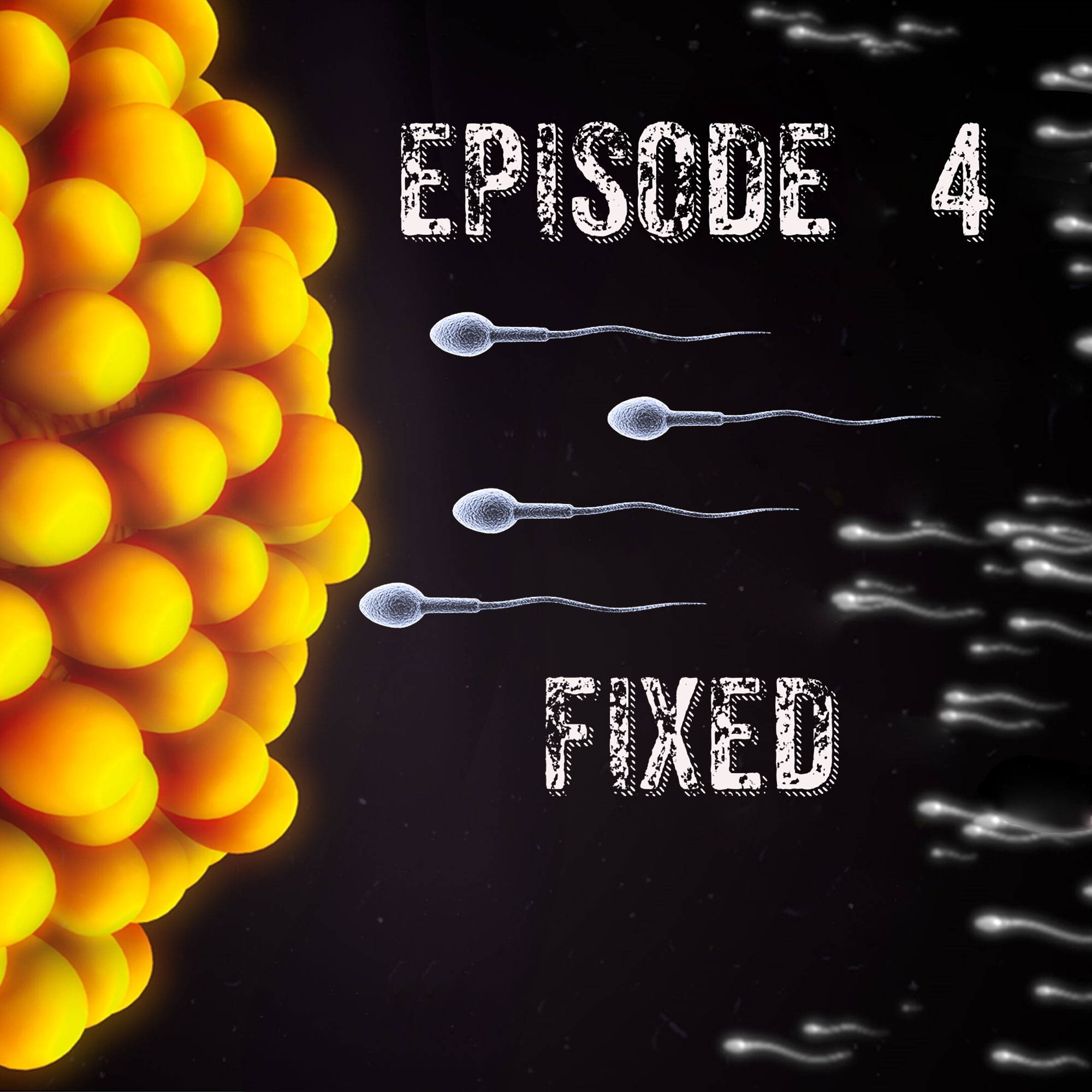 Episode 4 - Fixed episode artwork