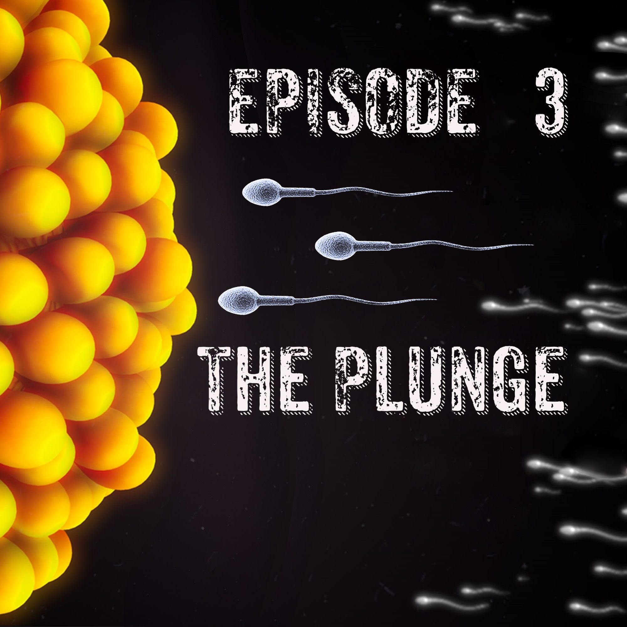 Episode 3 - The Plunge episode artwork