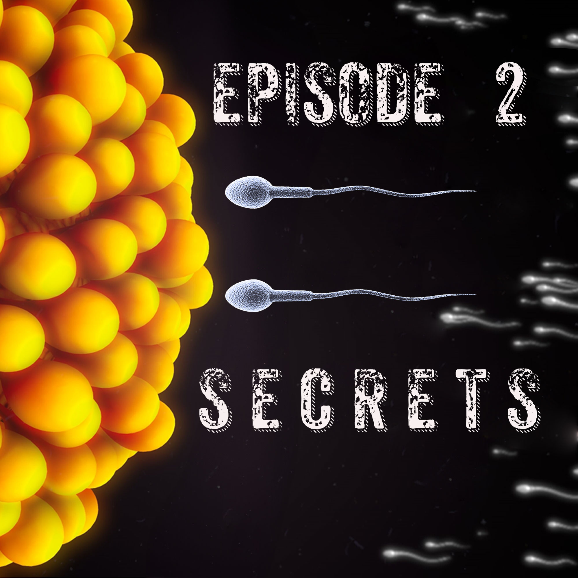 Episode 2 - Secrets episode artwork