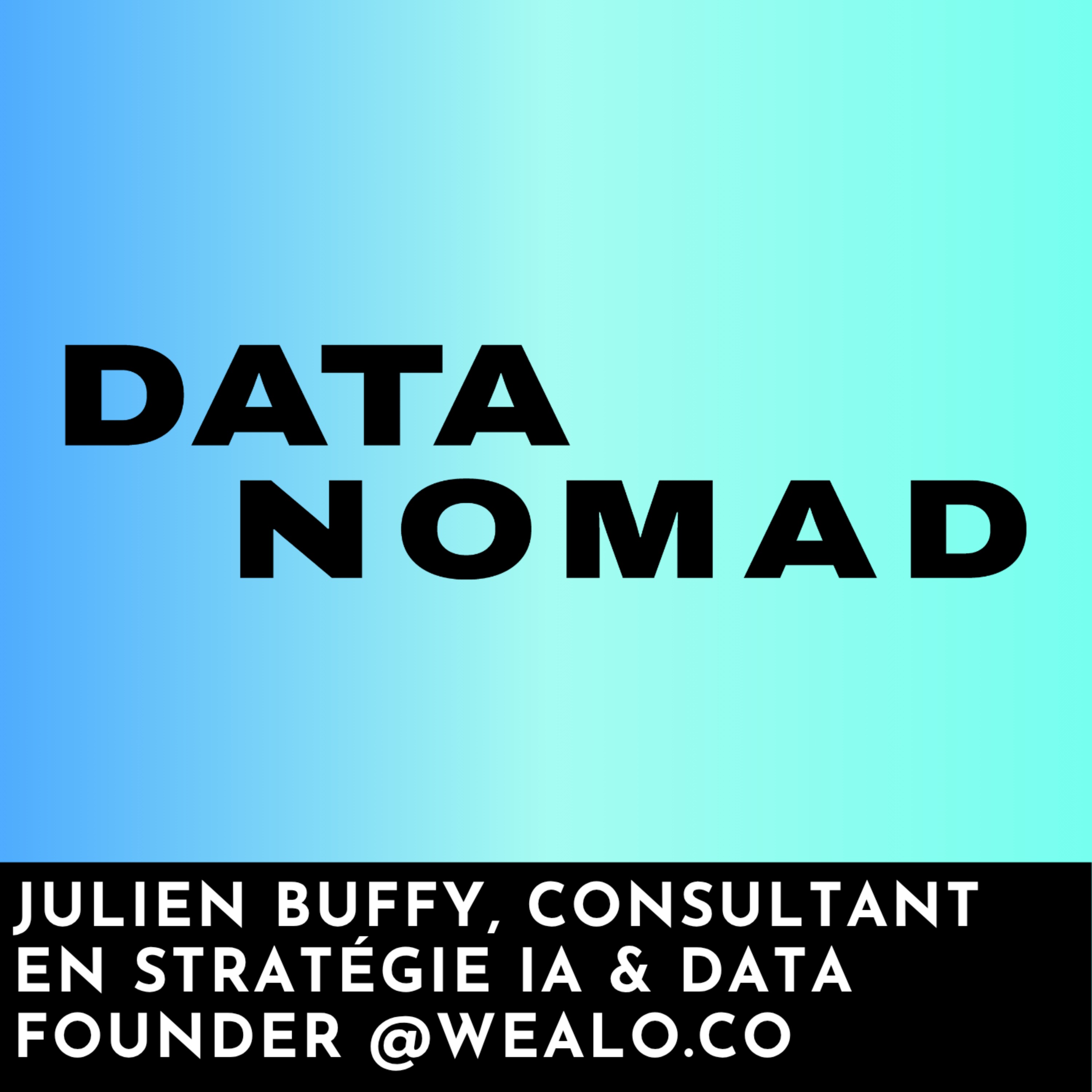DataNomad
