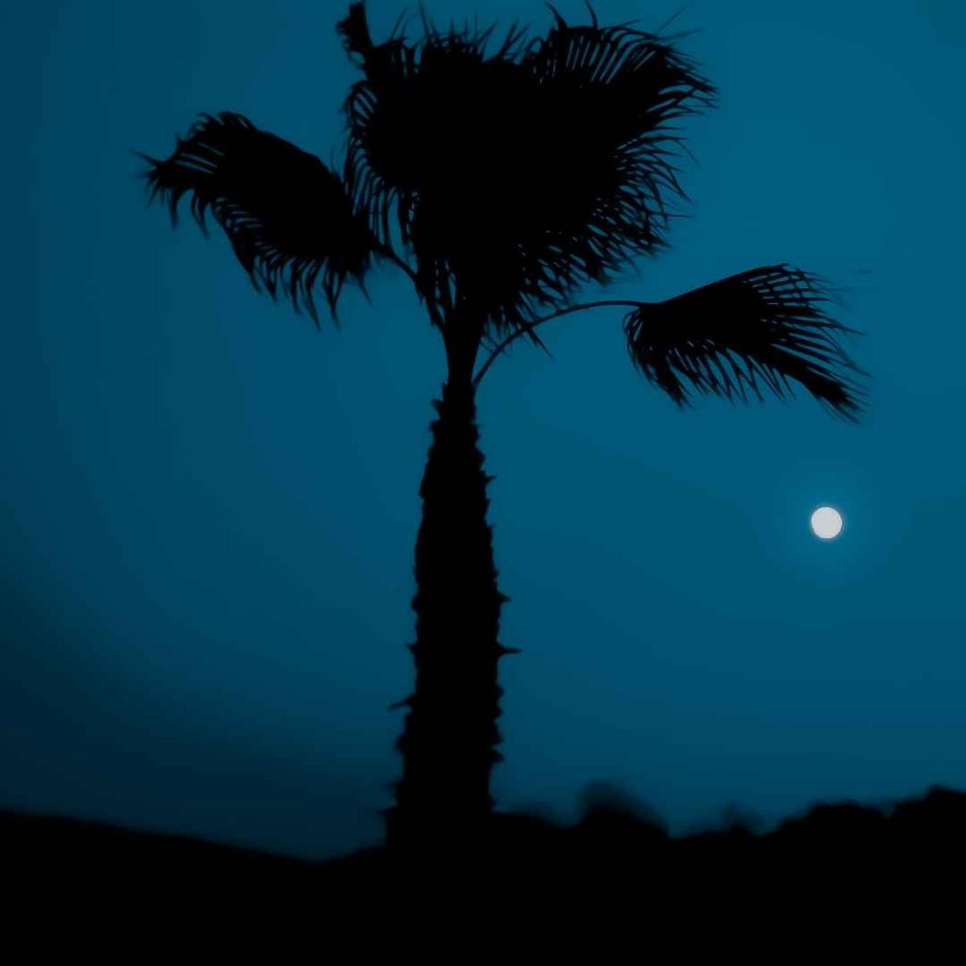 نخل شیطانی episode artwork