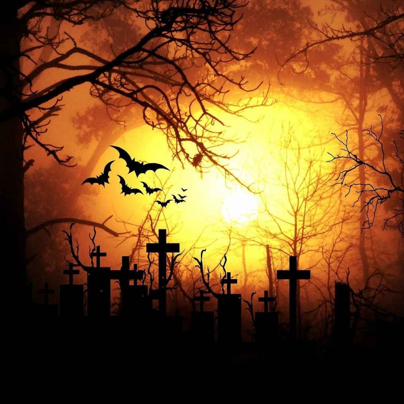 صدای شیون در قبرستان episode artwork