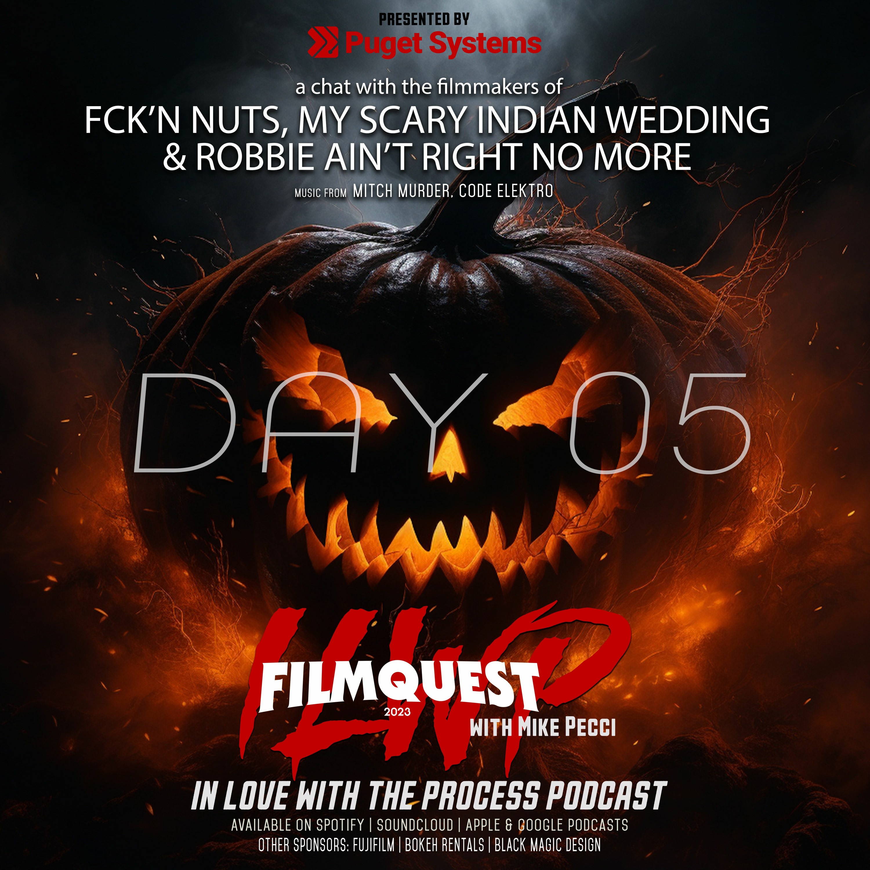 ILWP FilmQuest Series Day 05 (My Scary Indian Wedding, Fck'n Nuts, Robbie ain't right no more)