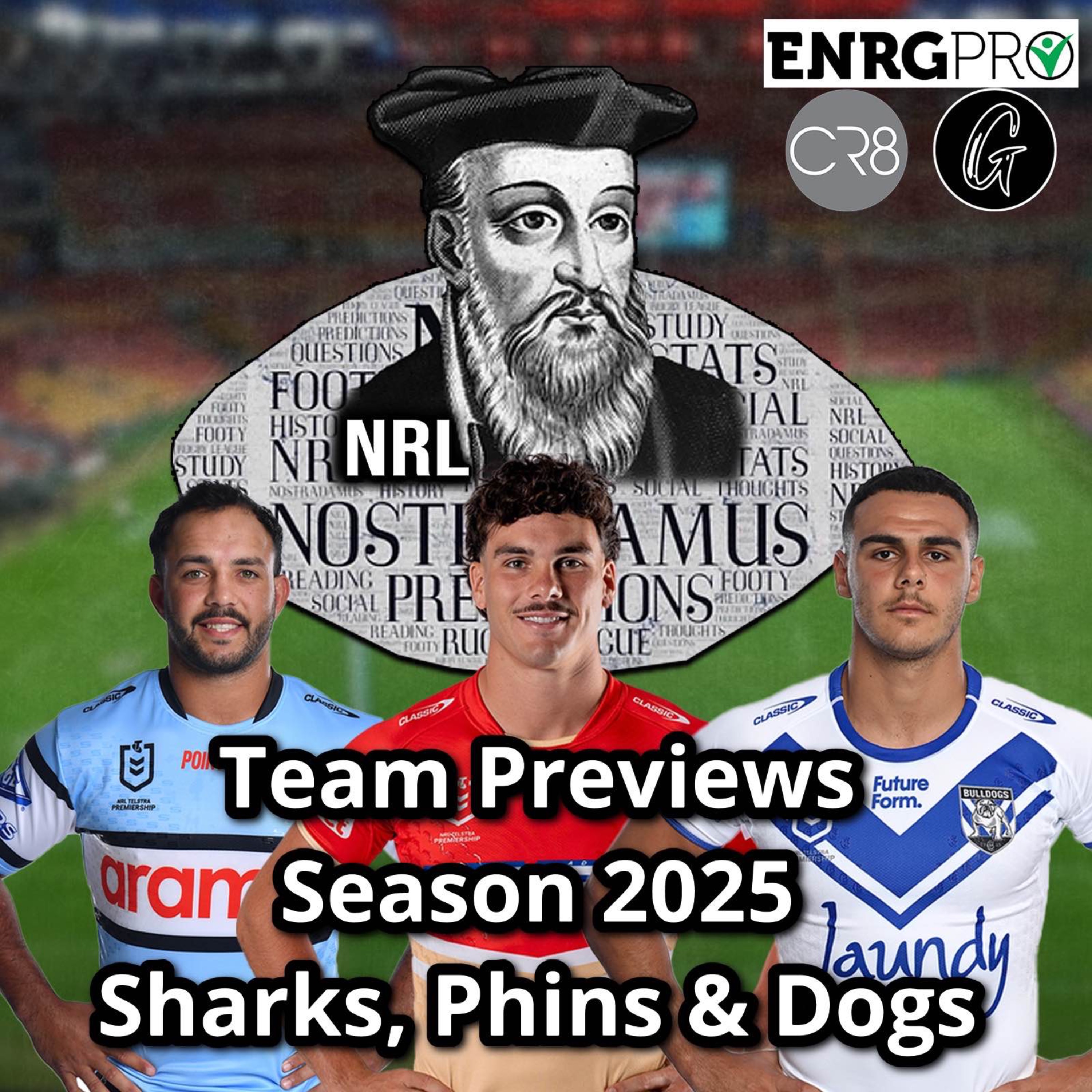Team Previews Season 2025 : Sharks, Bulldogs & Dolphins