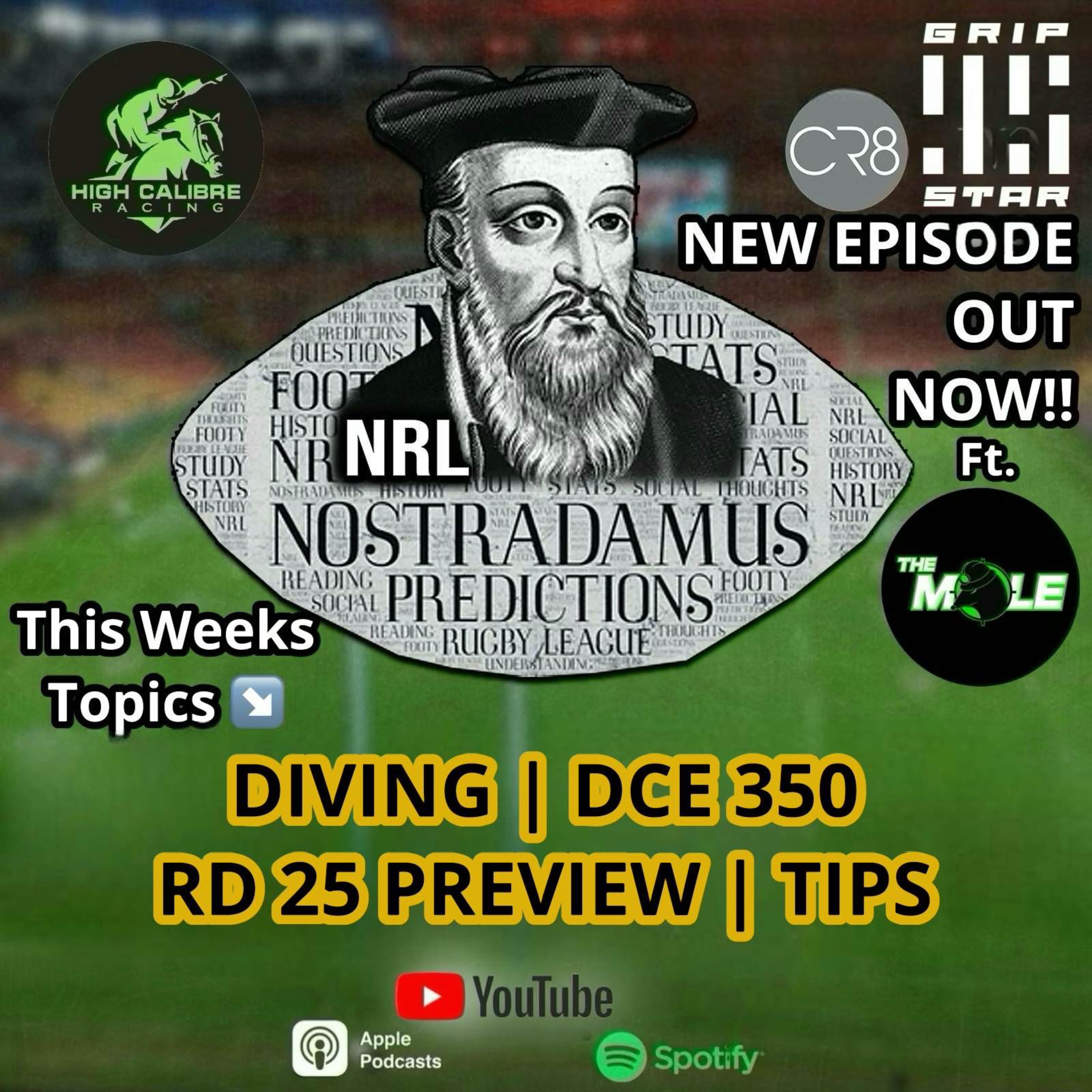 Weekly Podcast Episode ft. 'The Mole' : Round 25 Preview