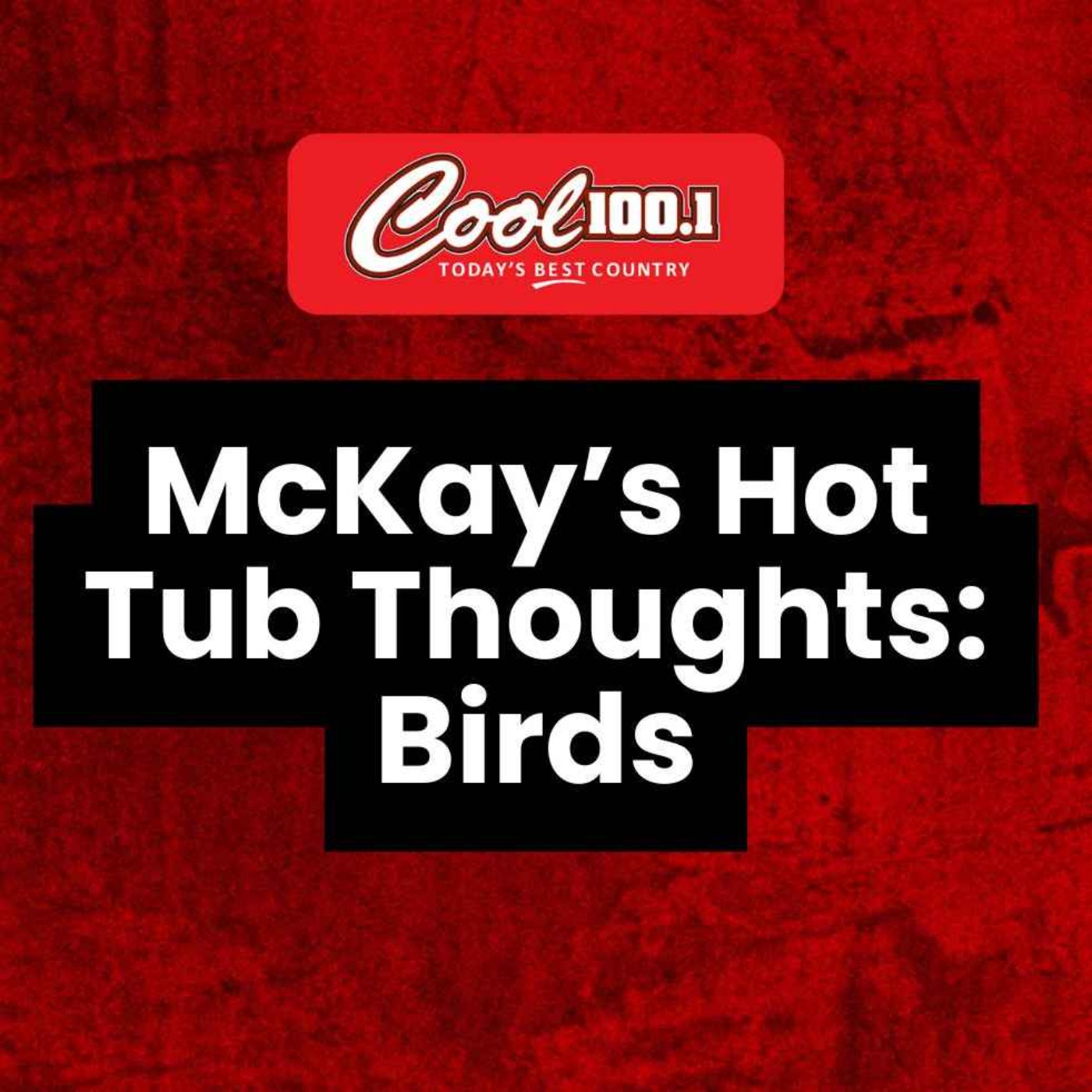 Hot Tub Thoughts: Birds