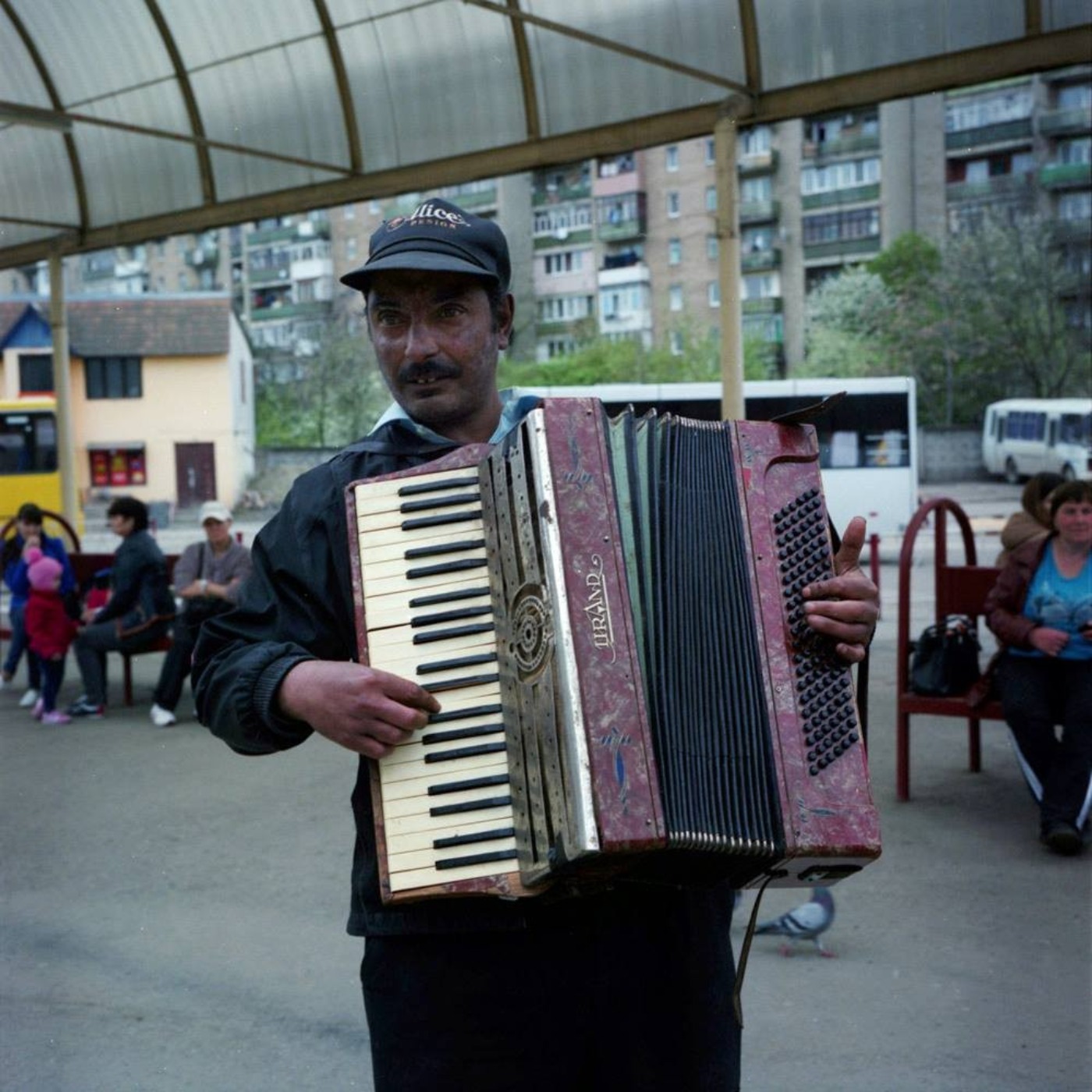 Romani Music and NGOs