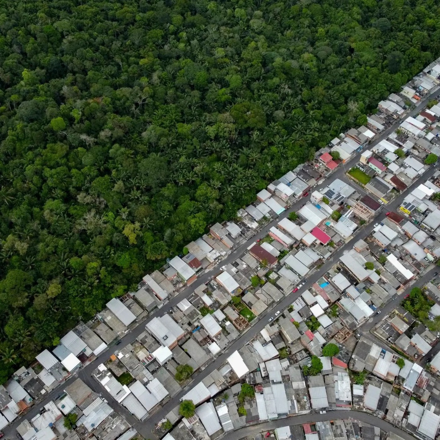 Green Cities in the USSR and Brazil Green Cities in the USSR and Brazil