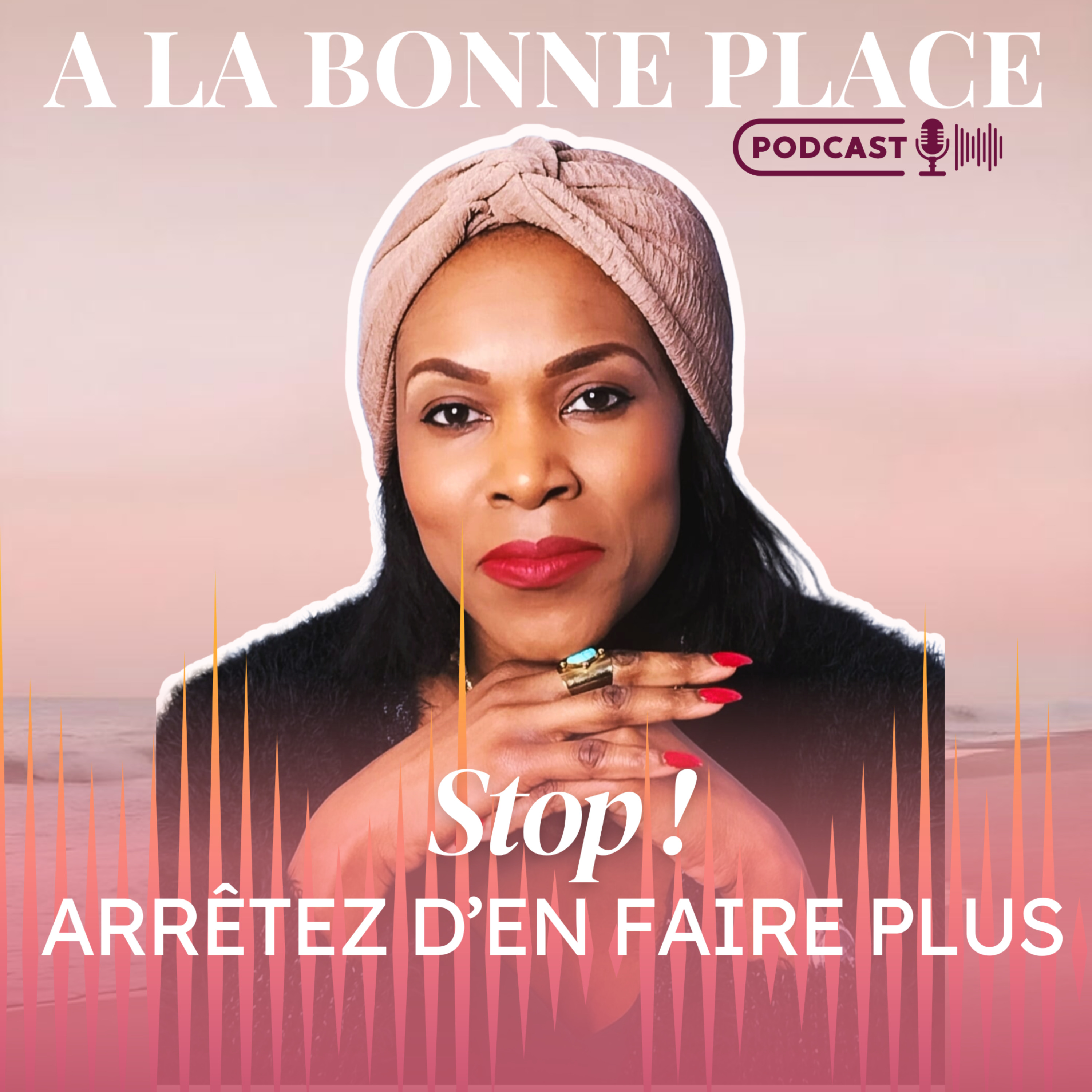 Stop ! Arrêtez d’en faire plus episode artwork