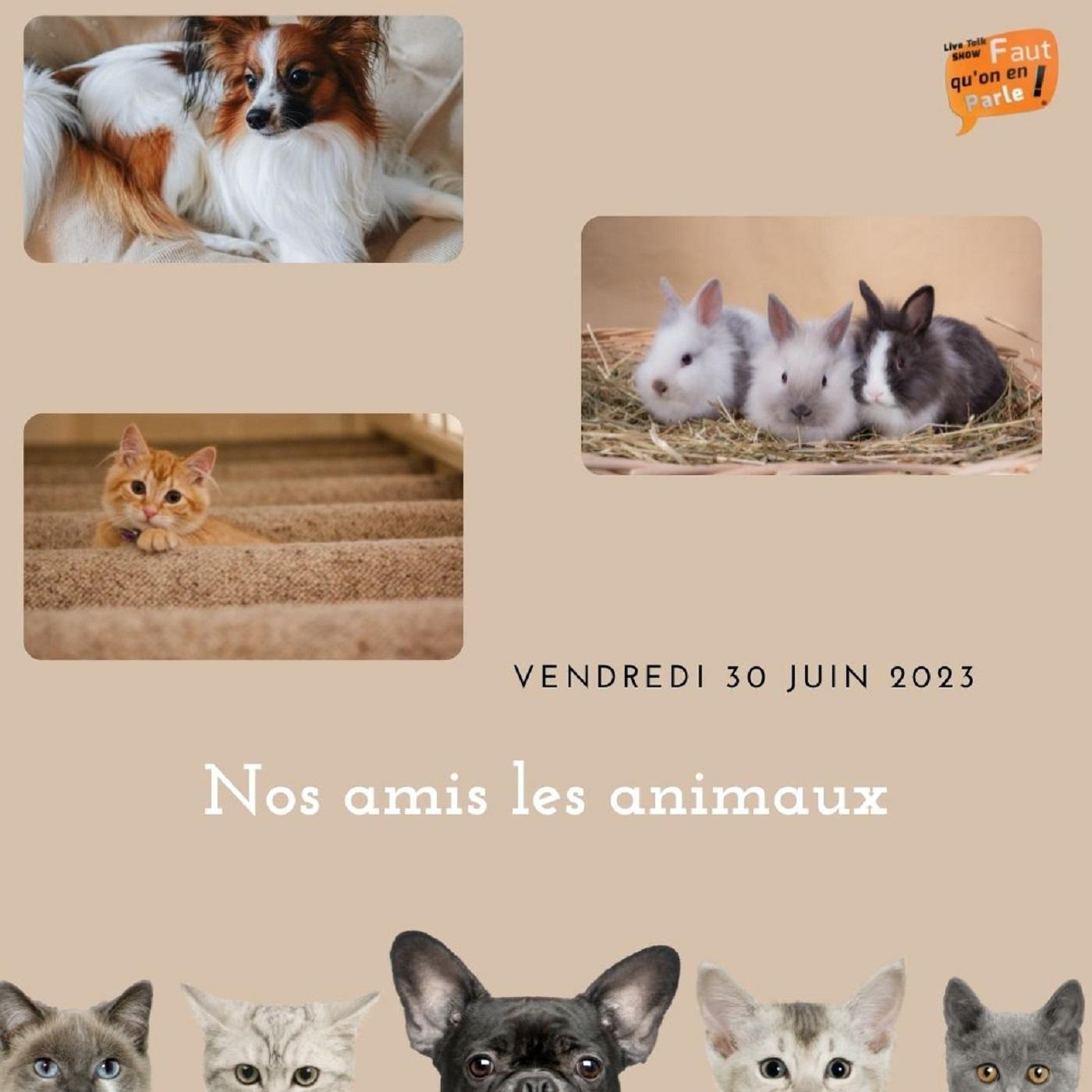 Faut qu\'on en parle !