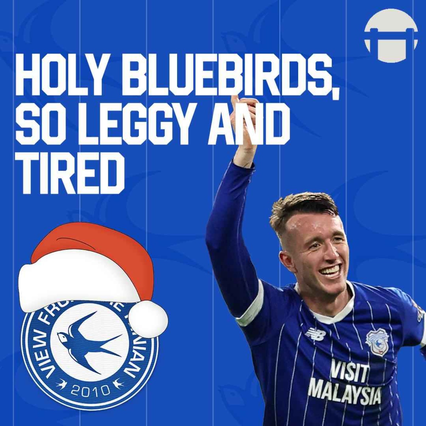 Holy Bluebirds, so leggy and tired