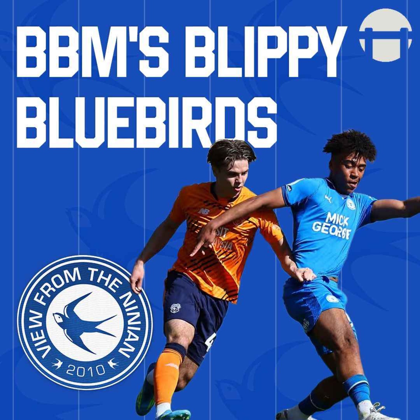 BBM's Blippy Bluebirds
